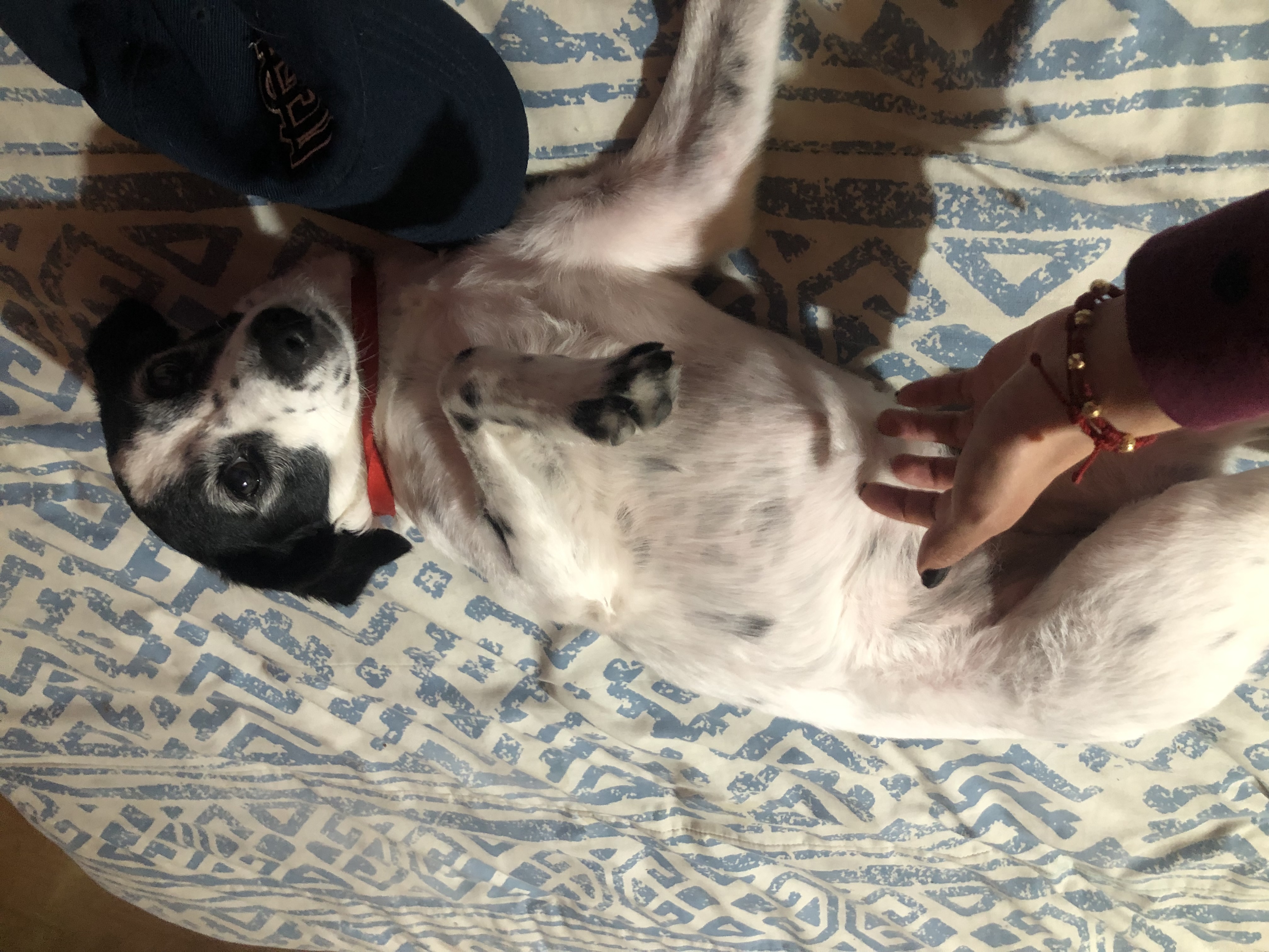 image-8