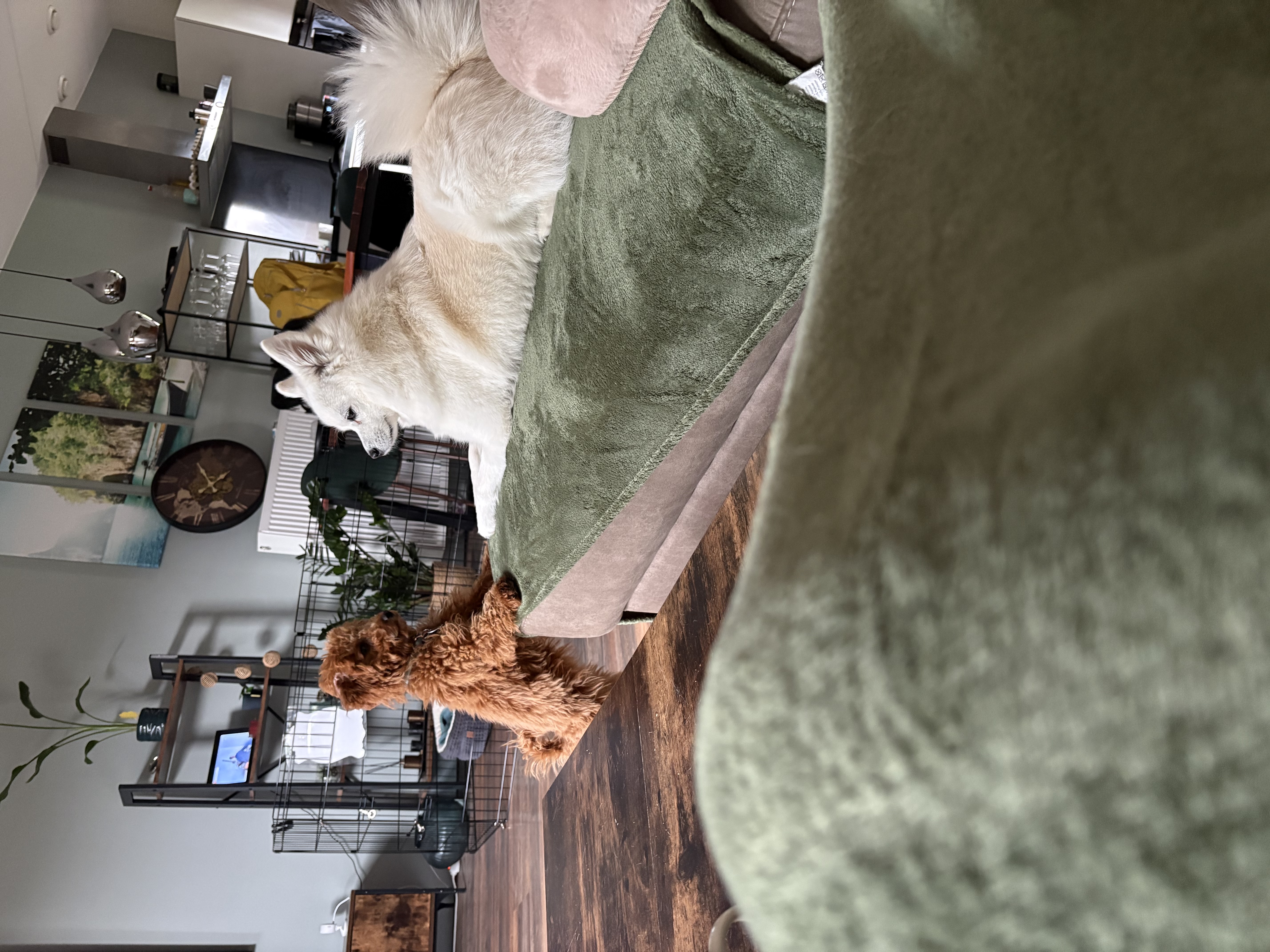 image-12