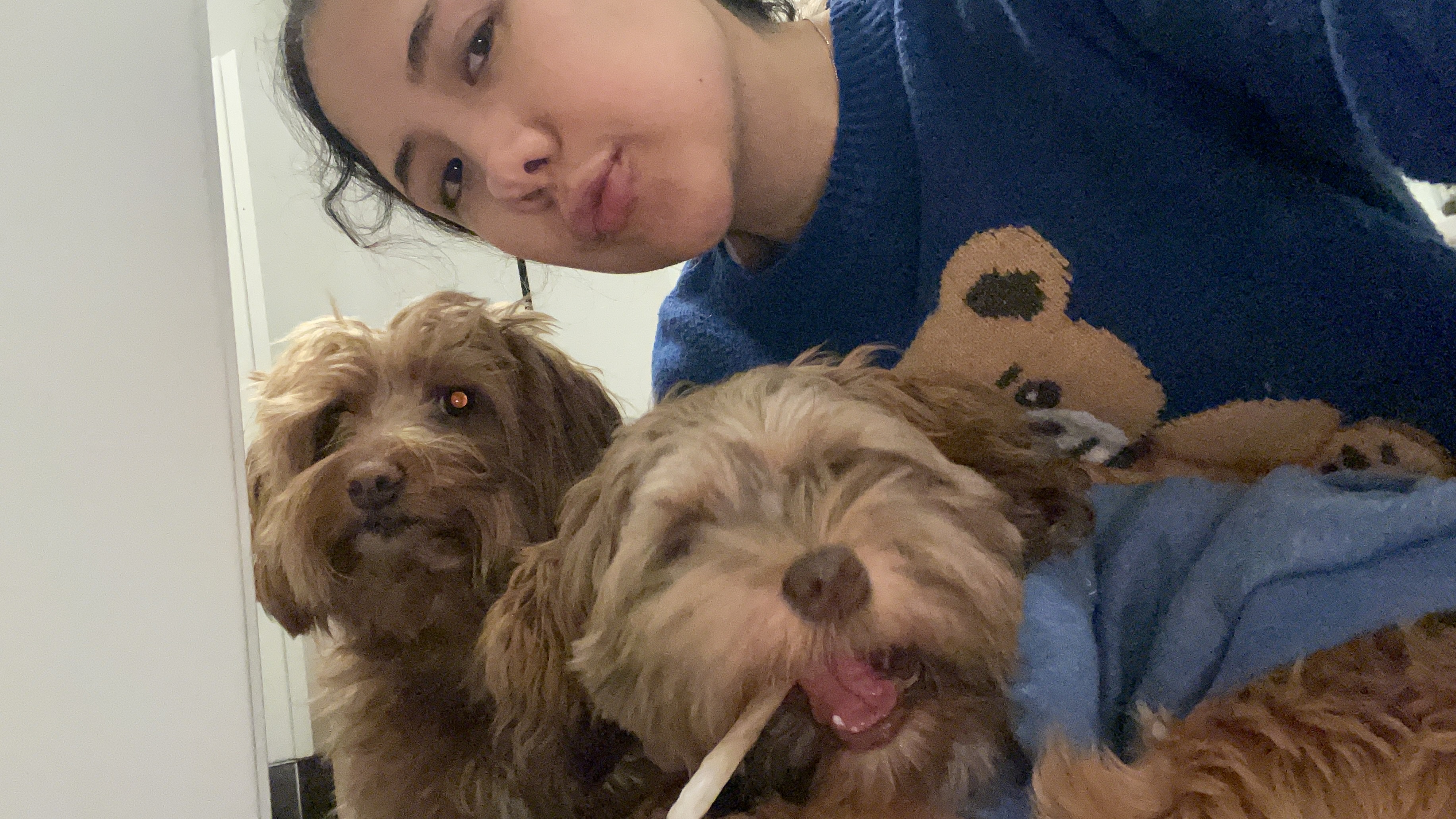 image-10