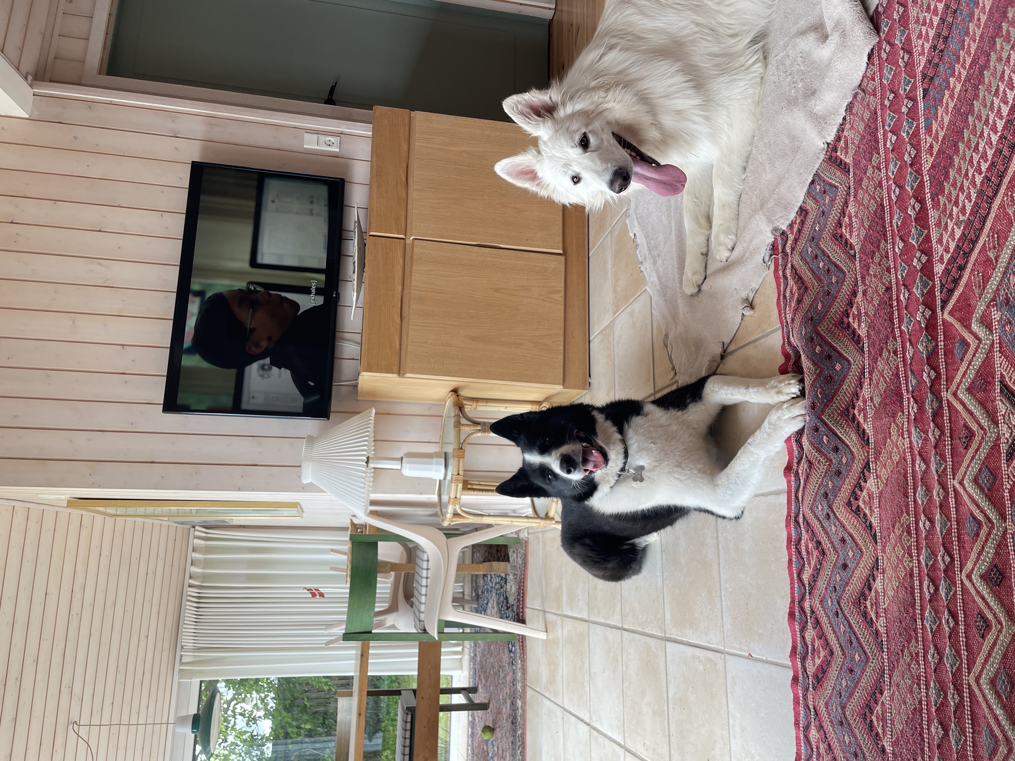 image-8