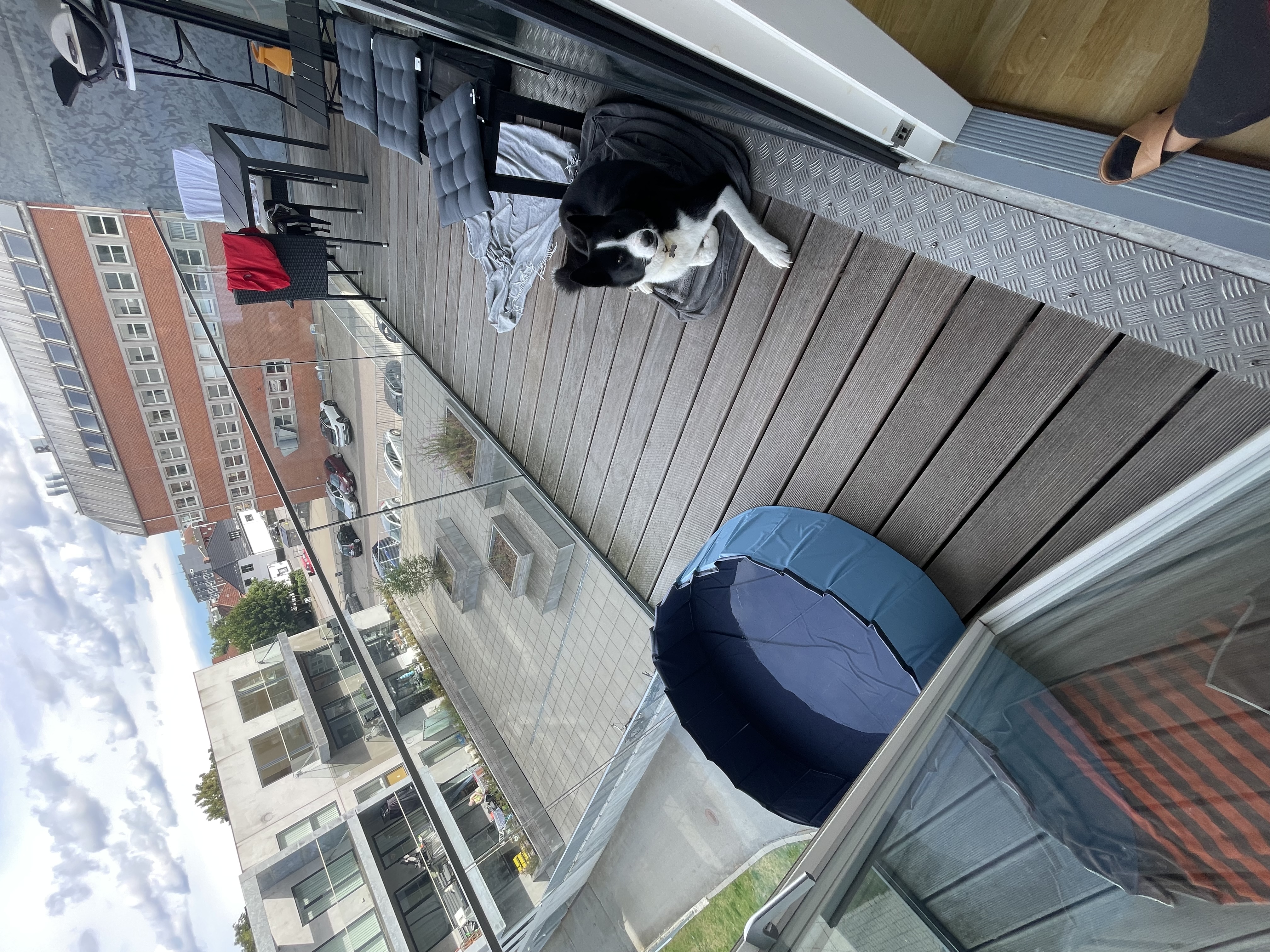 image-16