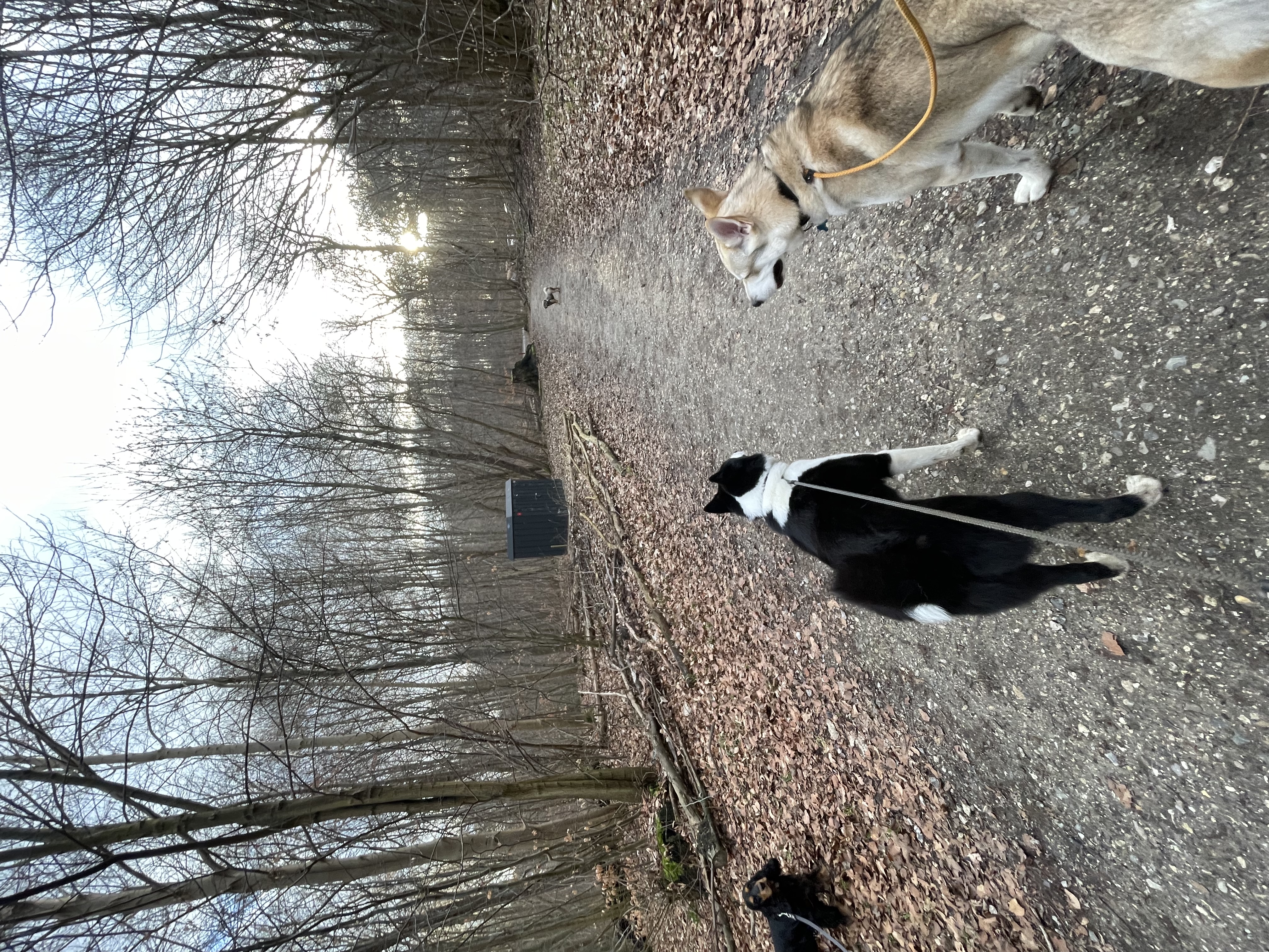 image-7