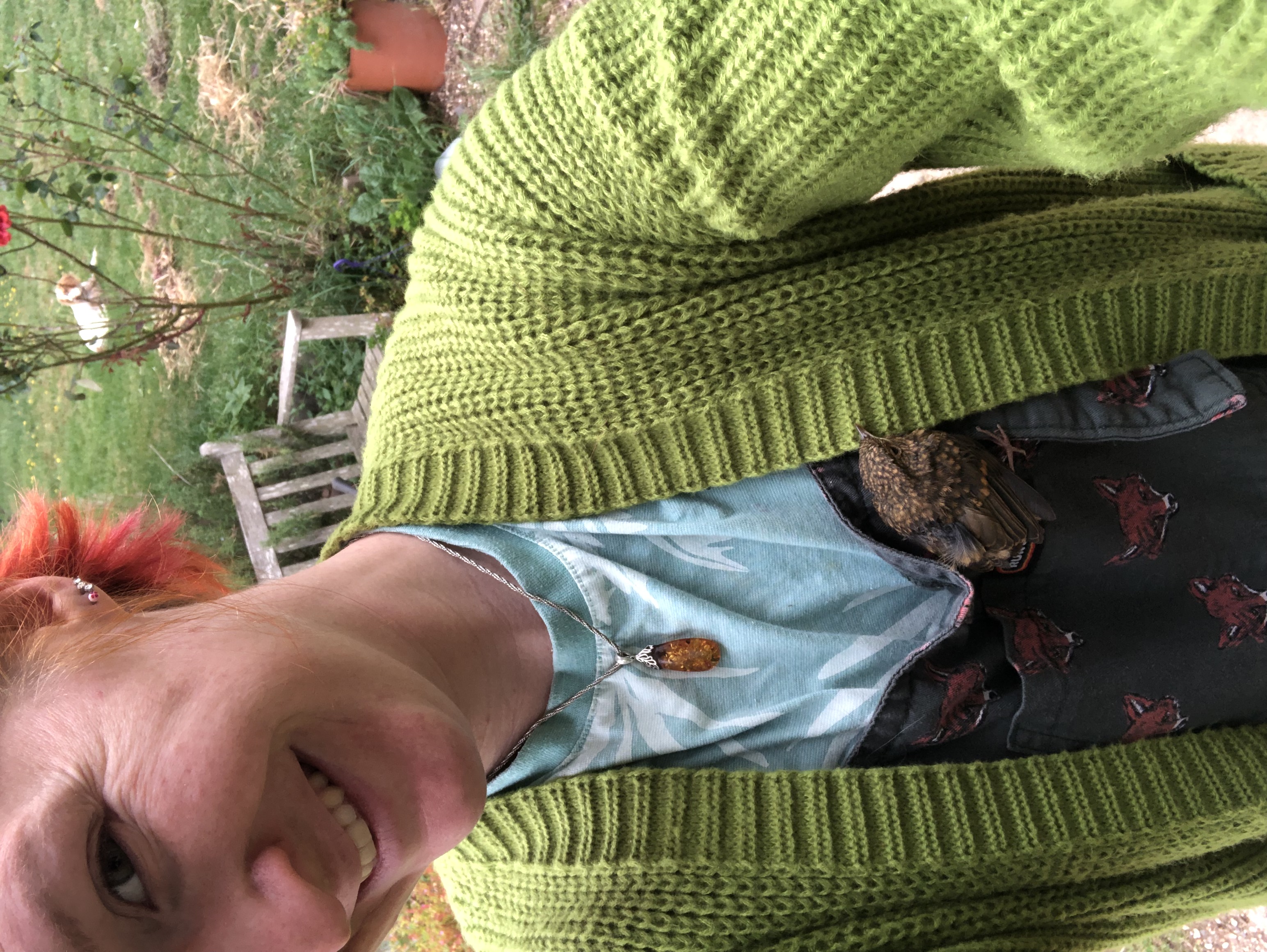 image-7