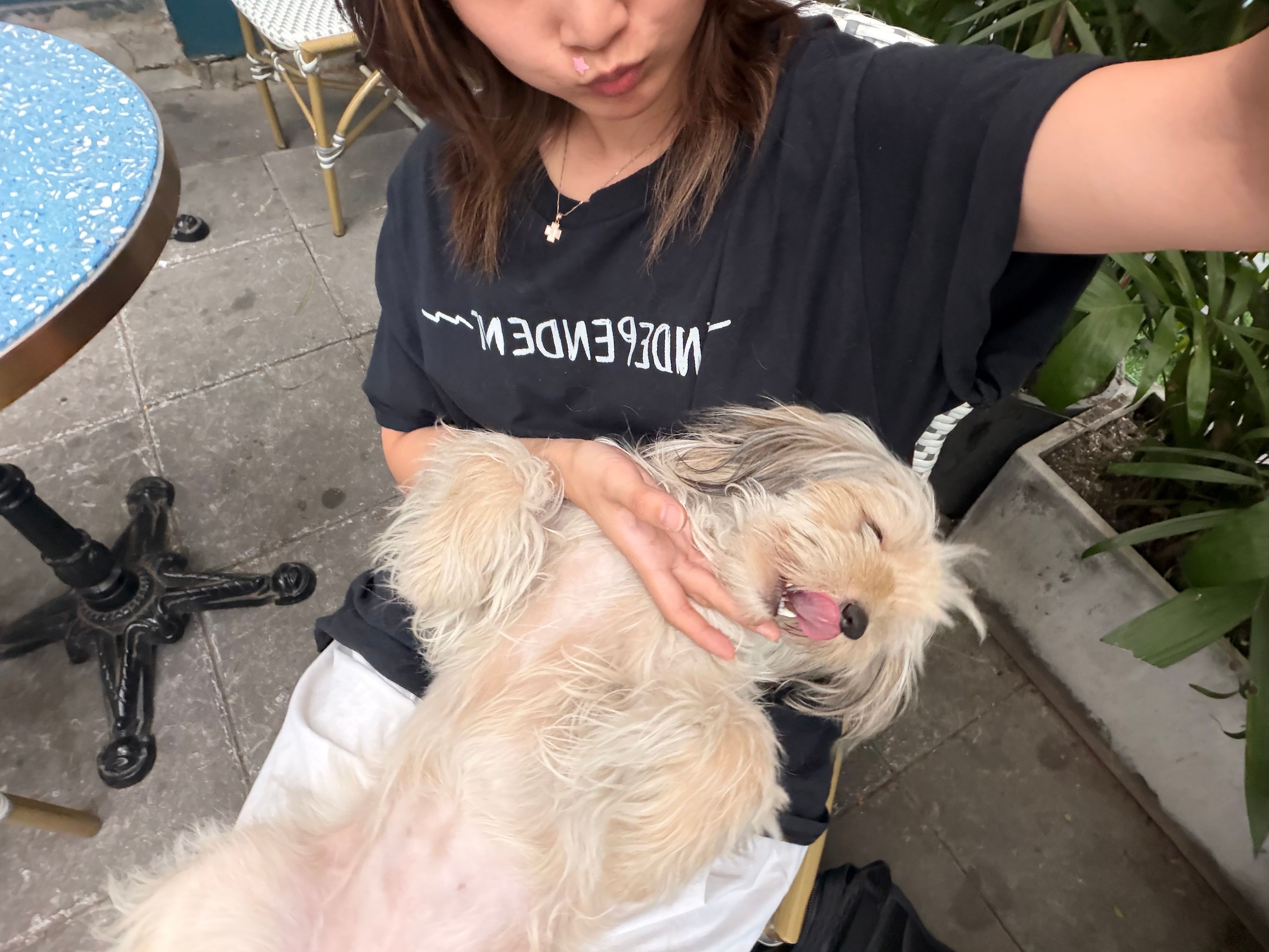 image-8