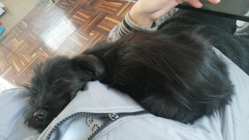image-3