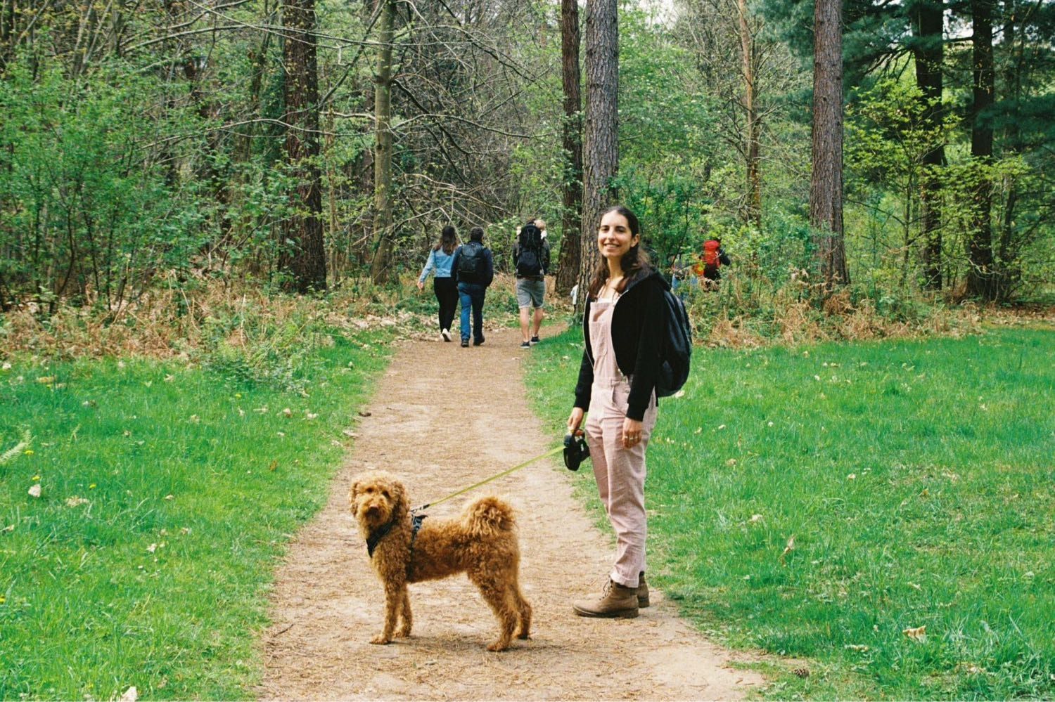 image-3