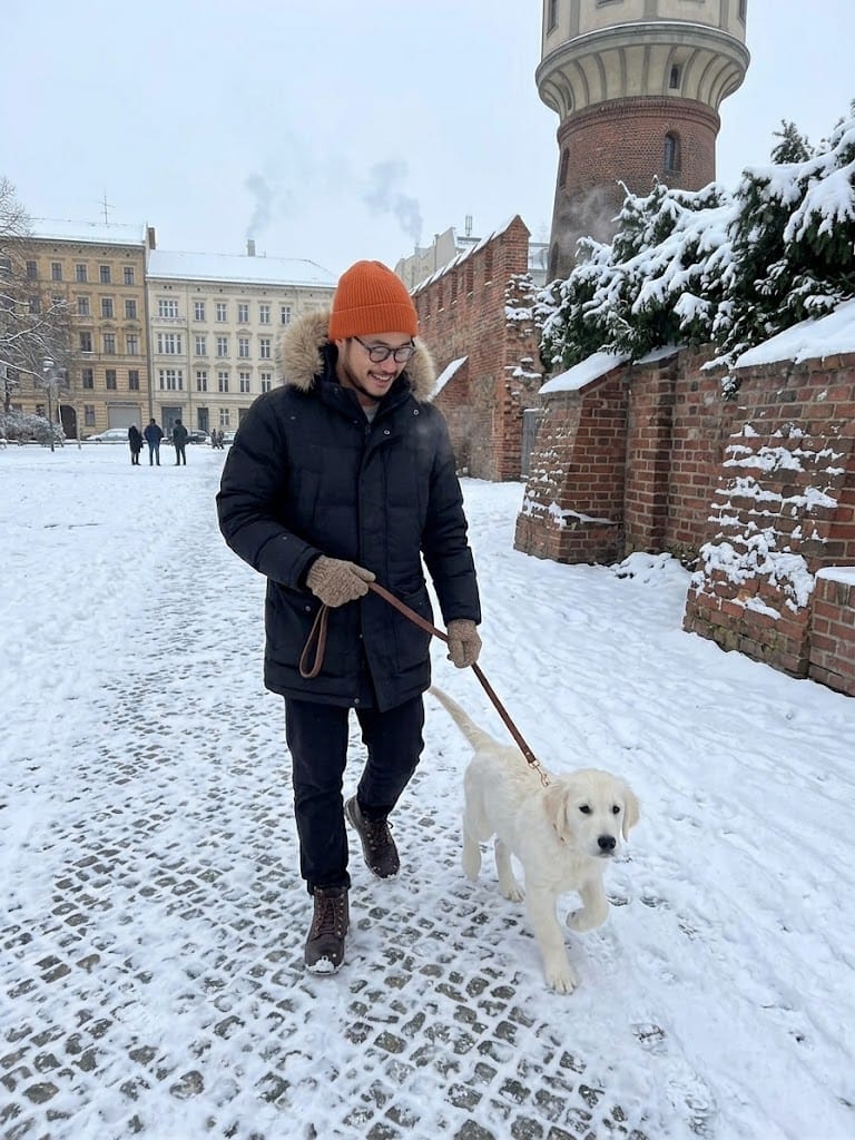 image-11