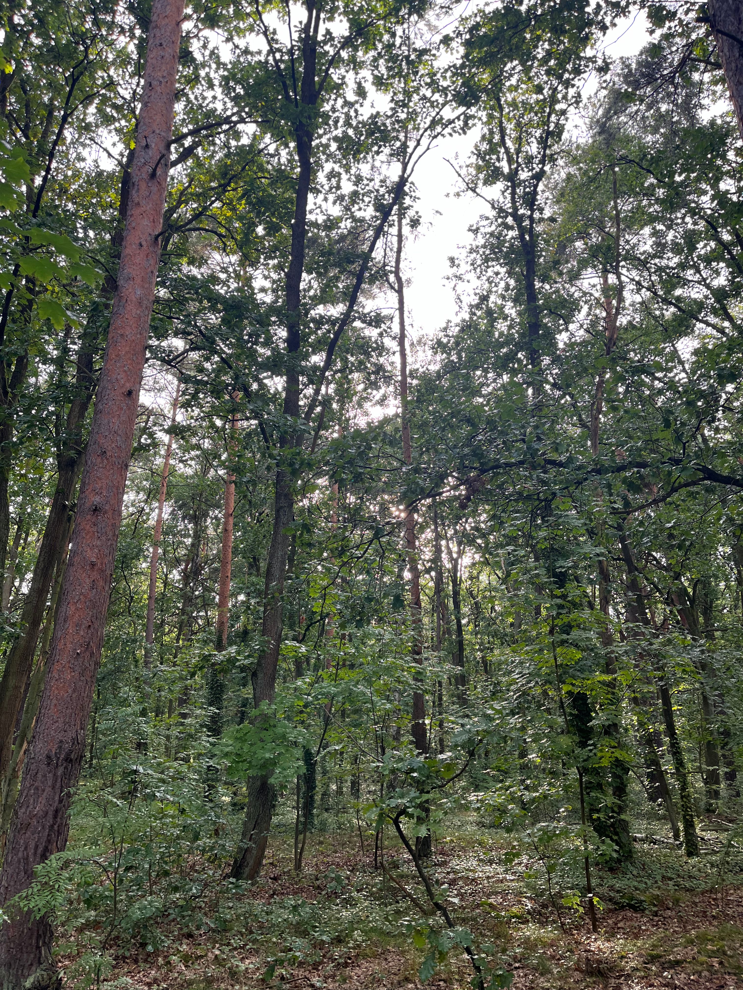 image-9