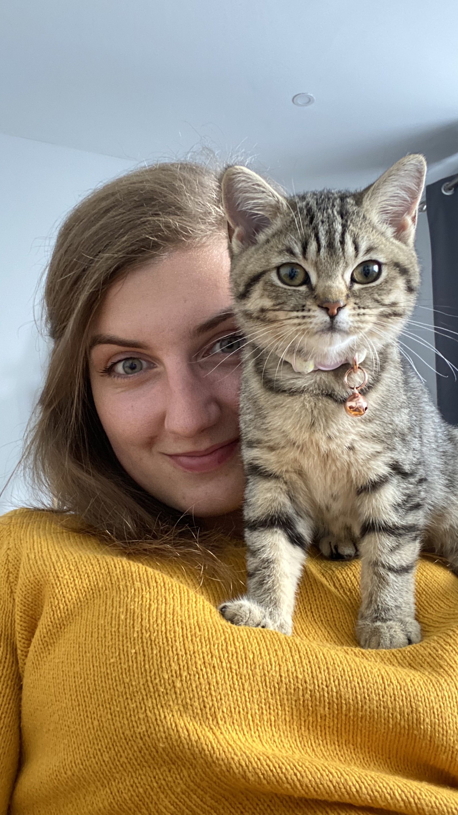 image-6