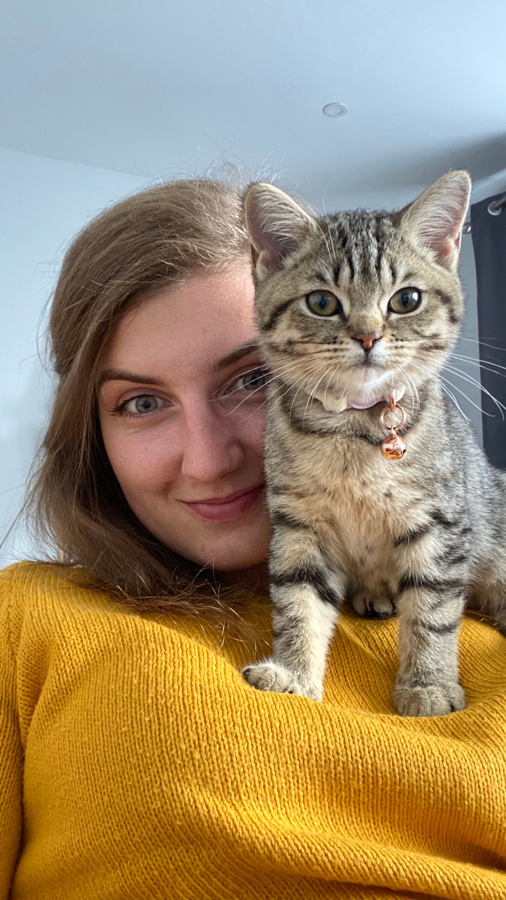 image-6