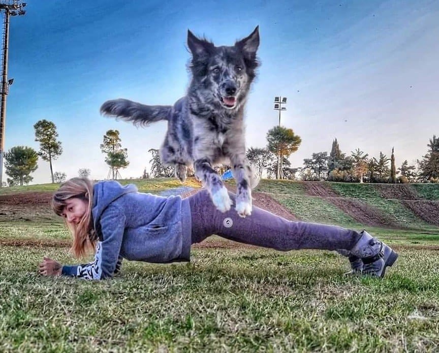 image-0