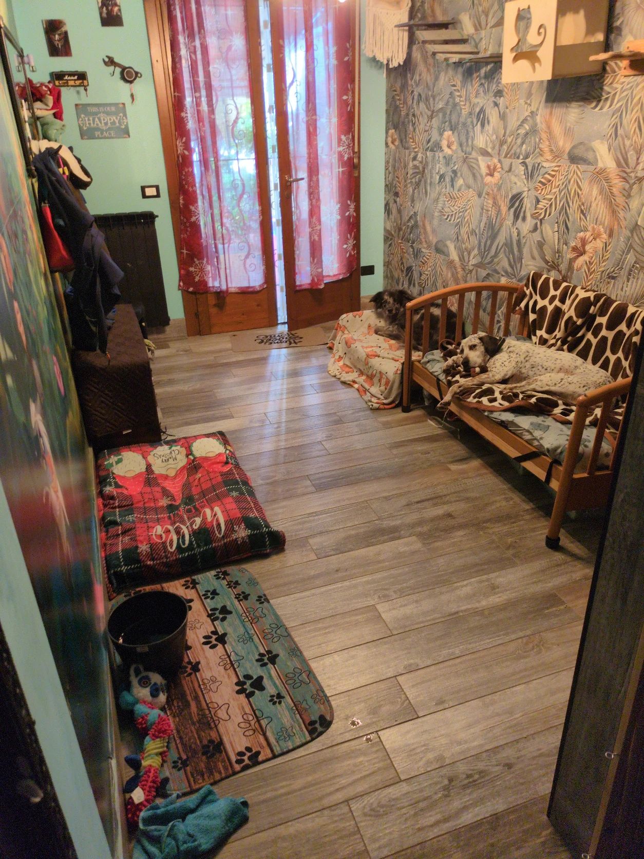 image-19