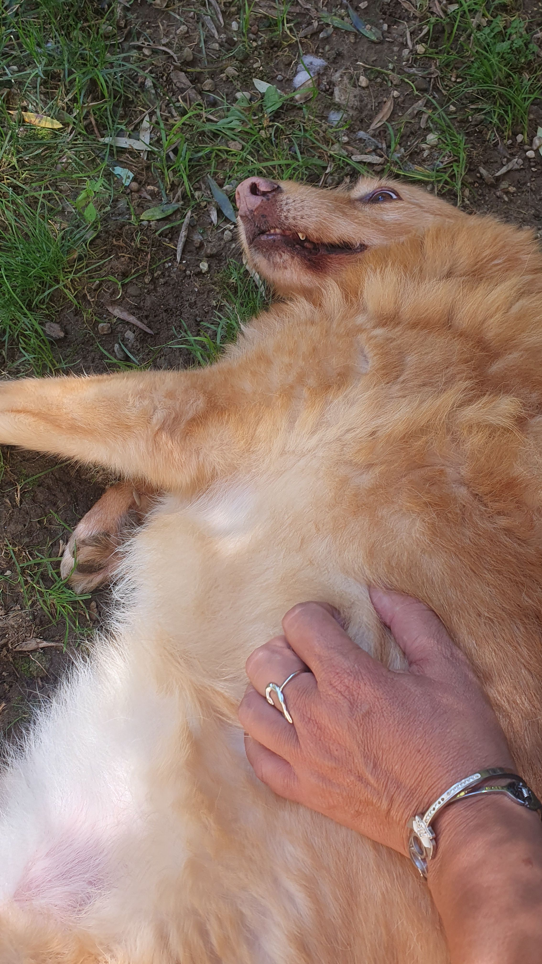 image-7