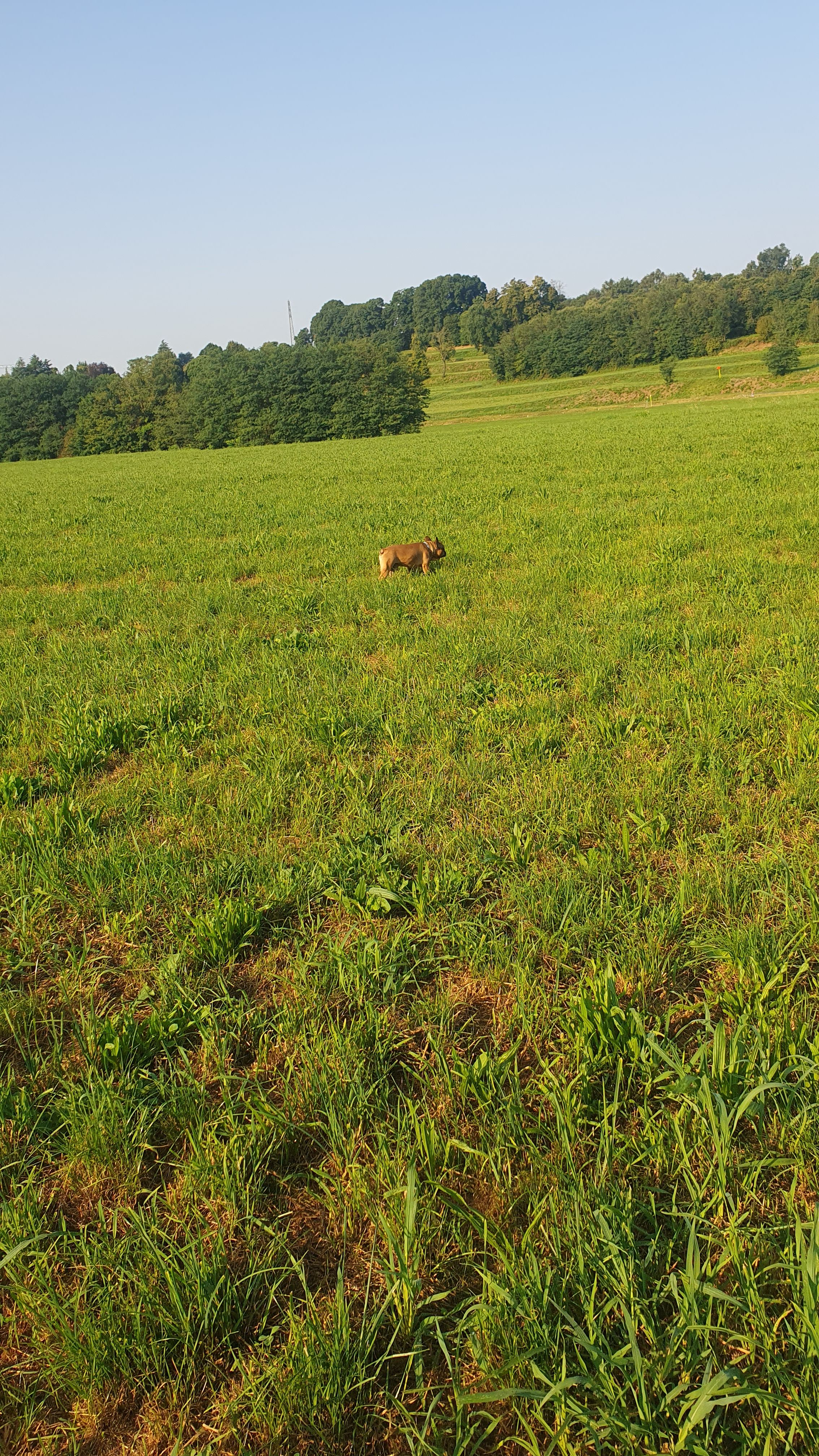 image-11