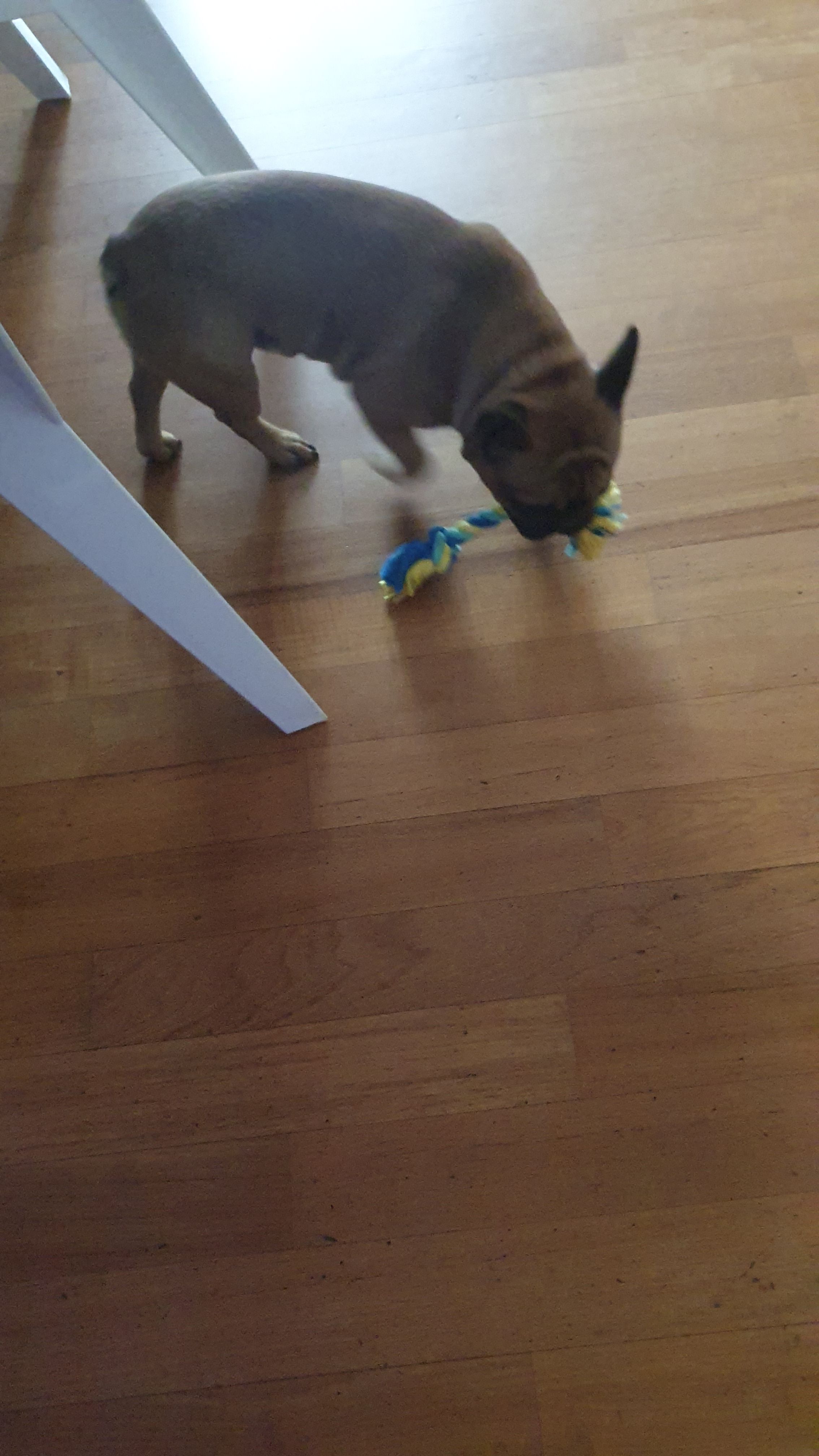 image-12