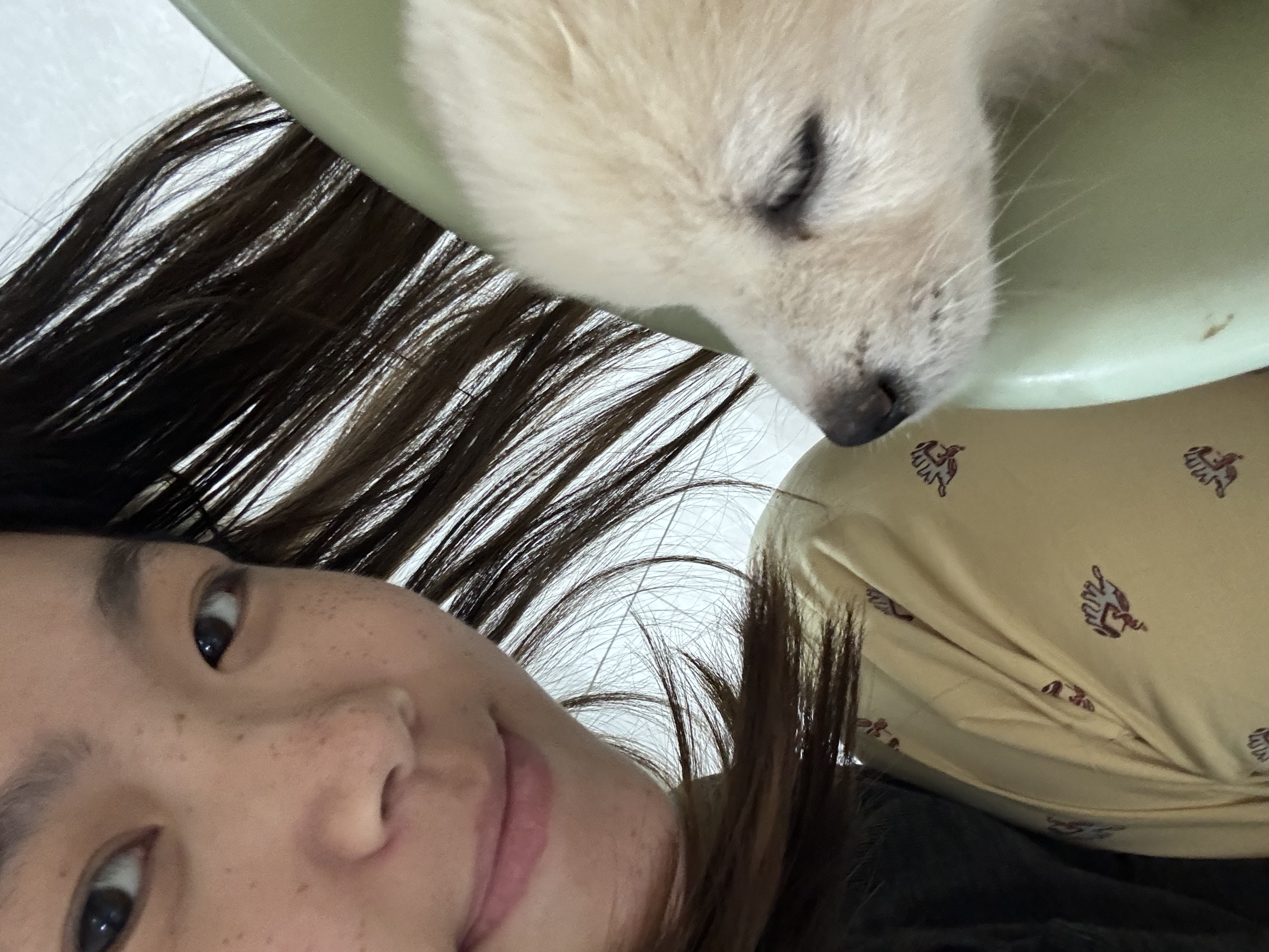 image-7