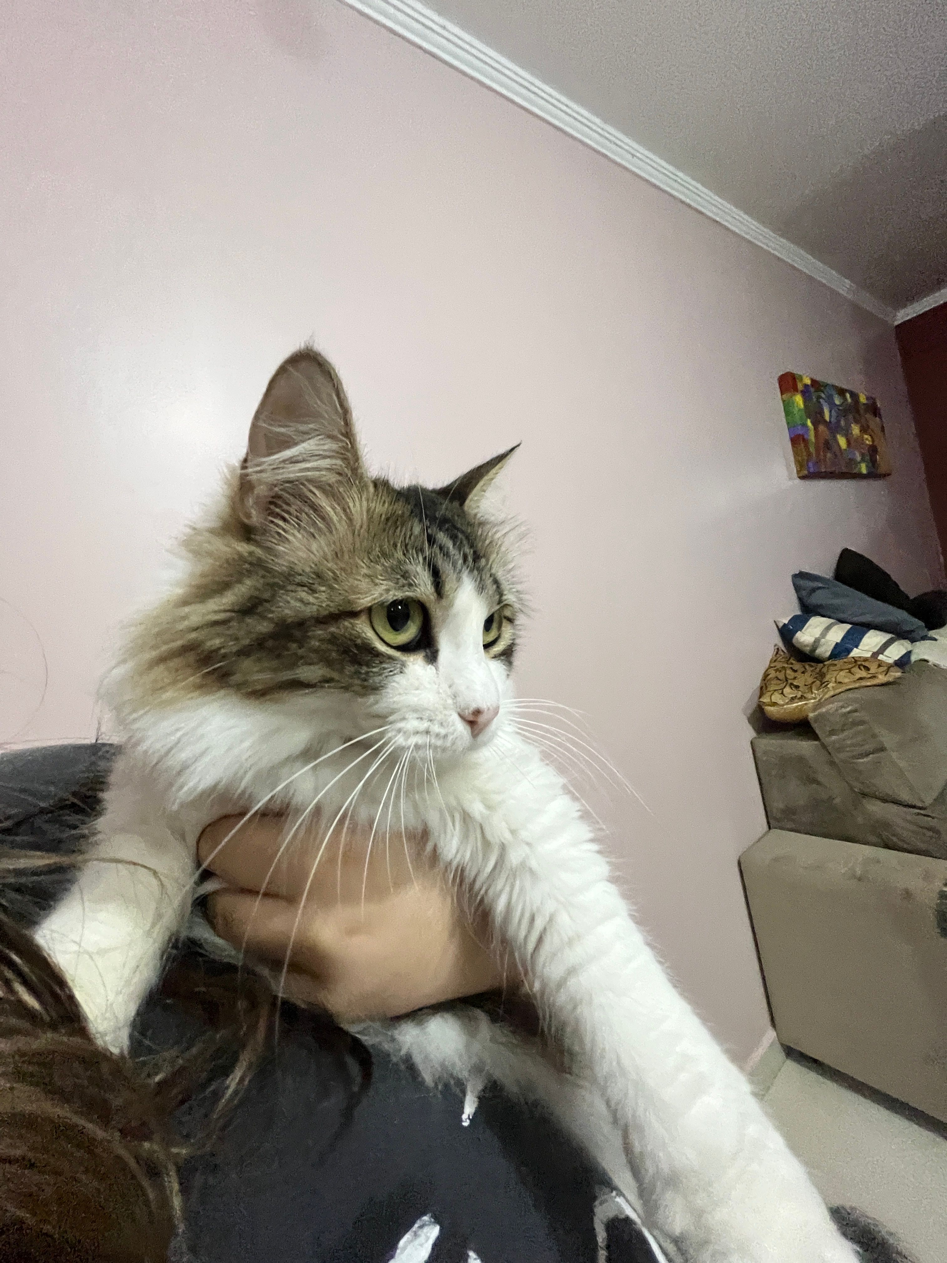 image-8