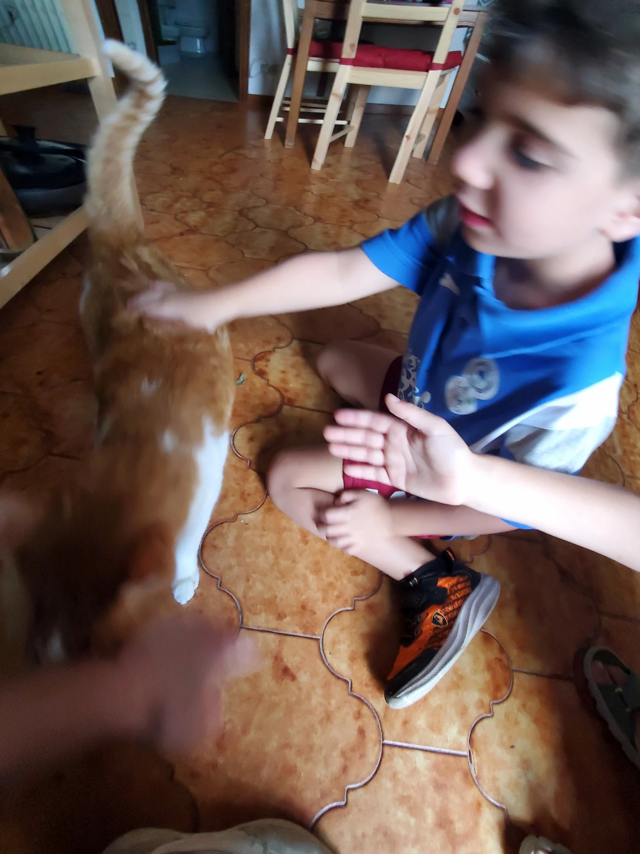image-3