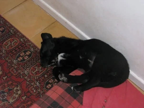 image-6
