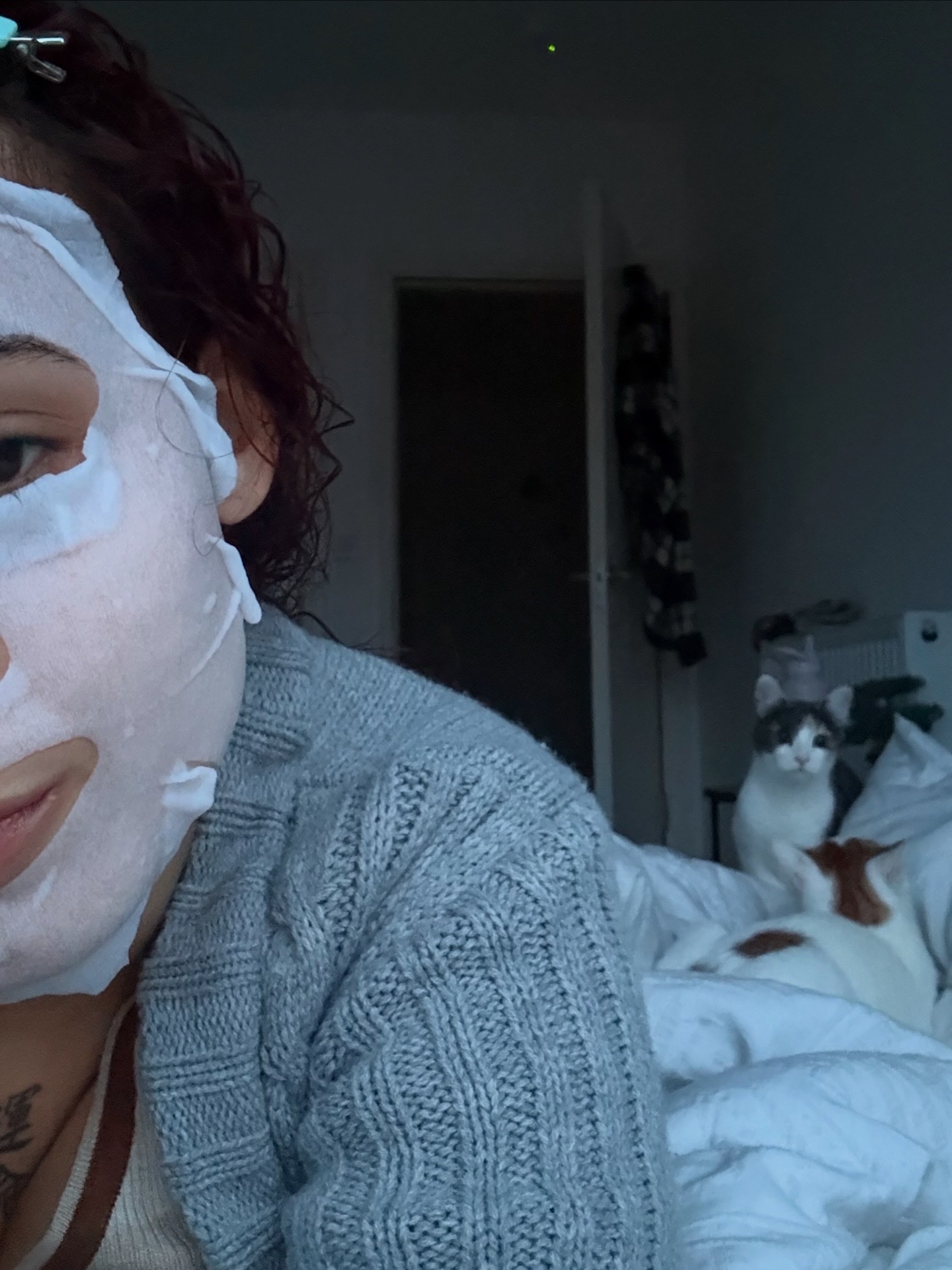 image-4
