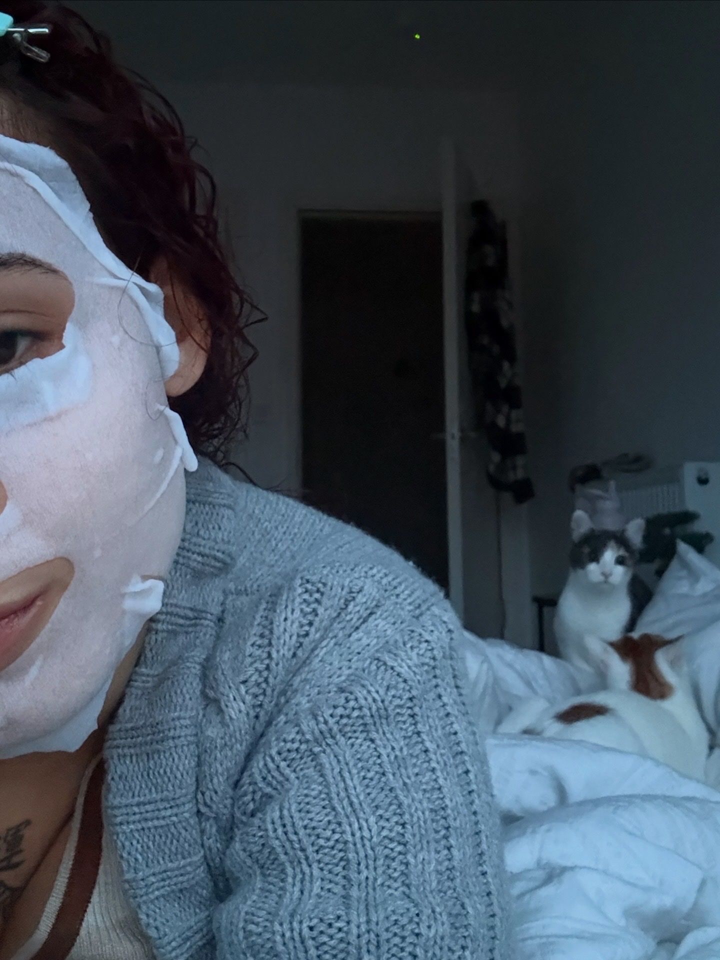 image-4