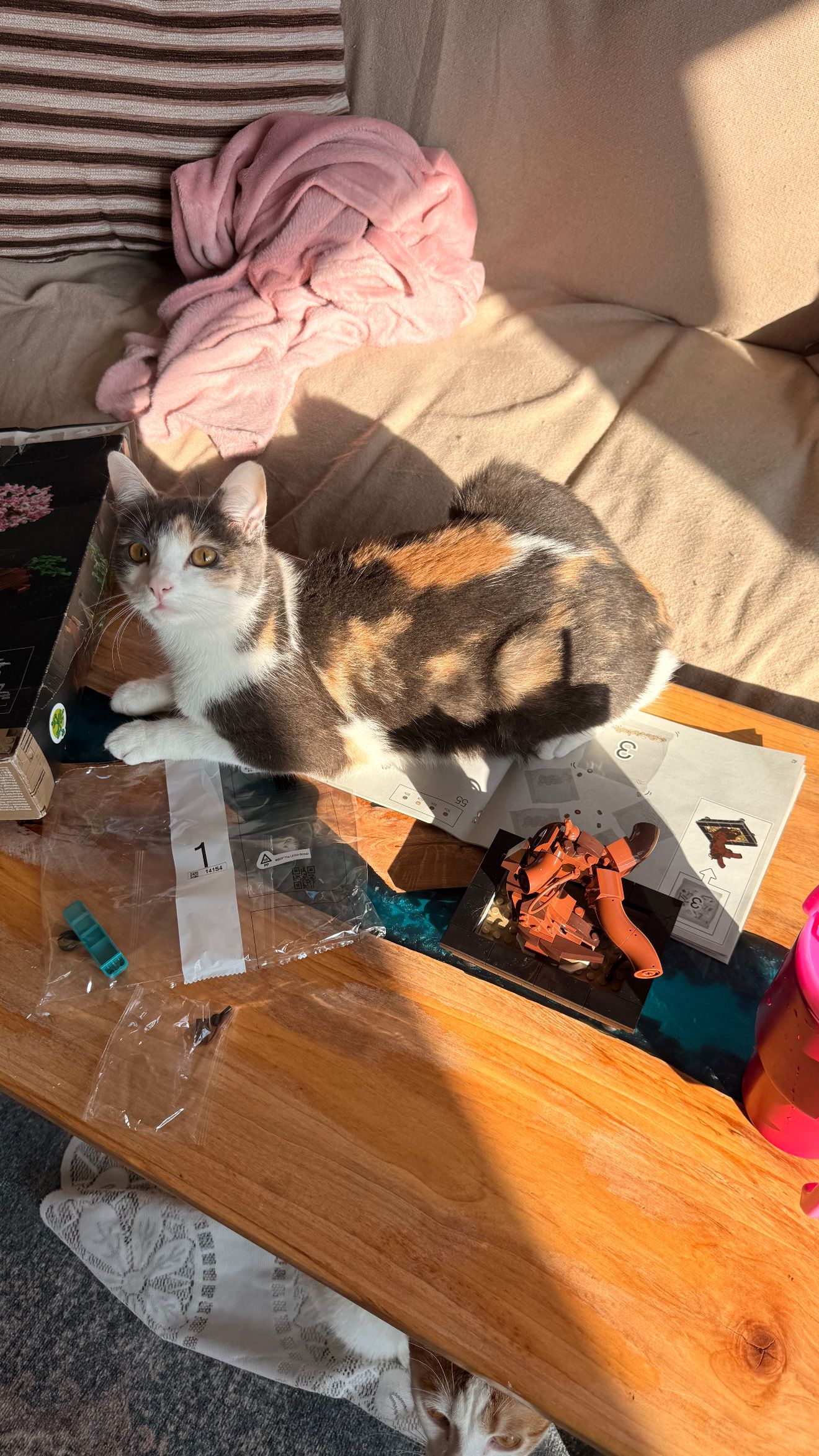 image-12