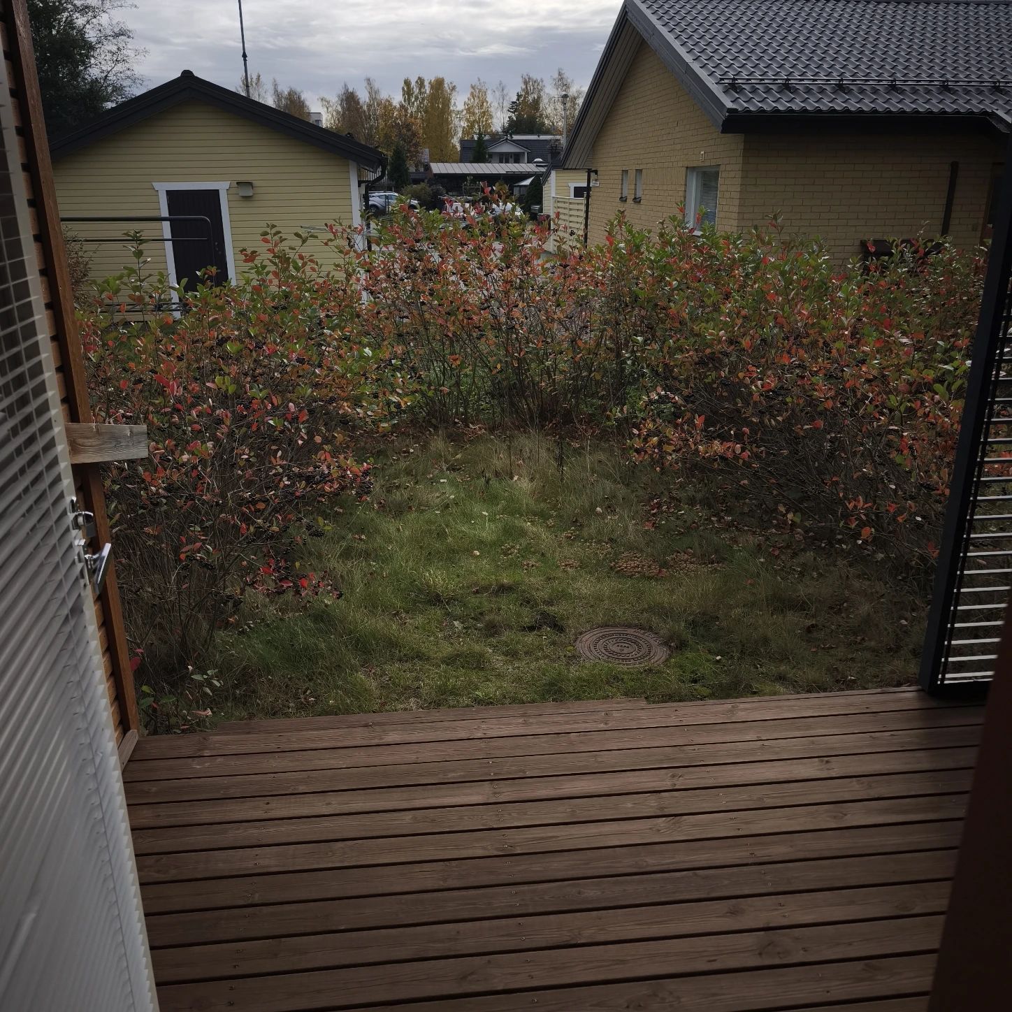 image-14