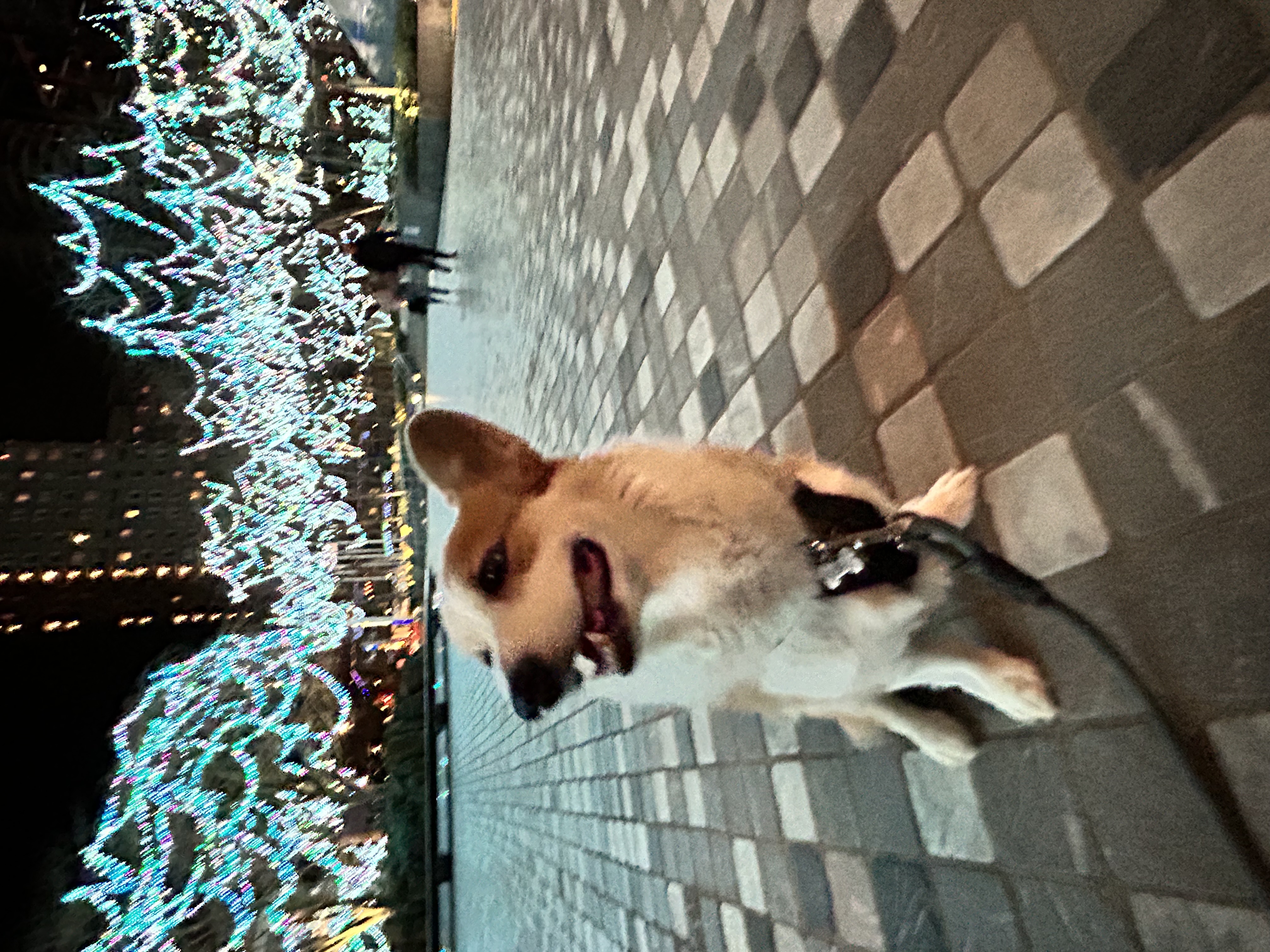 image-6