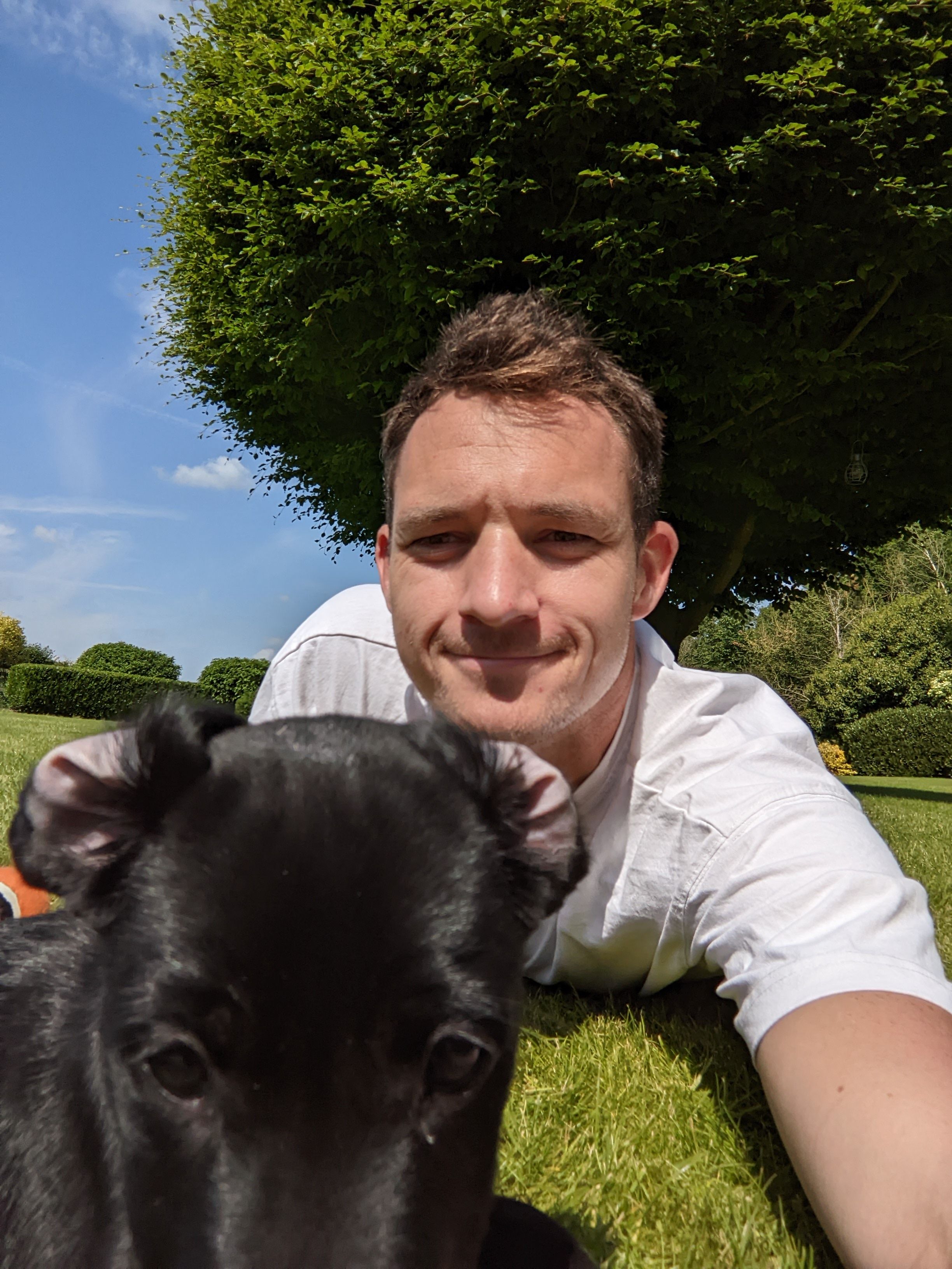 image-10