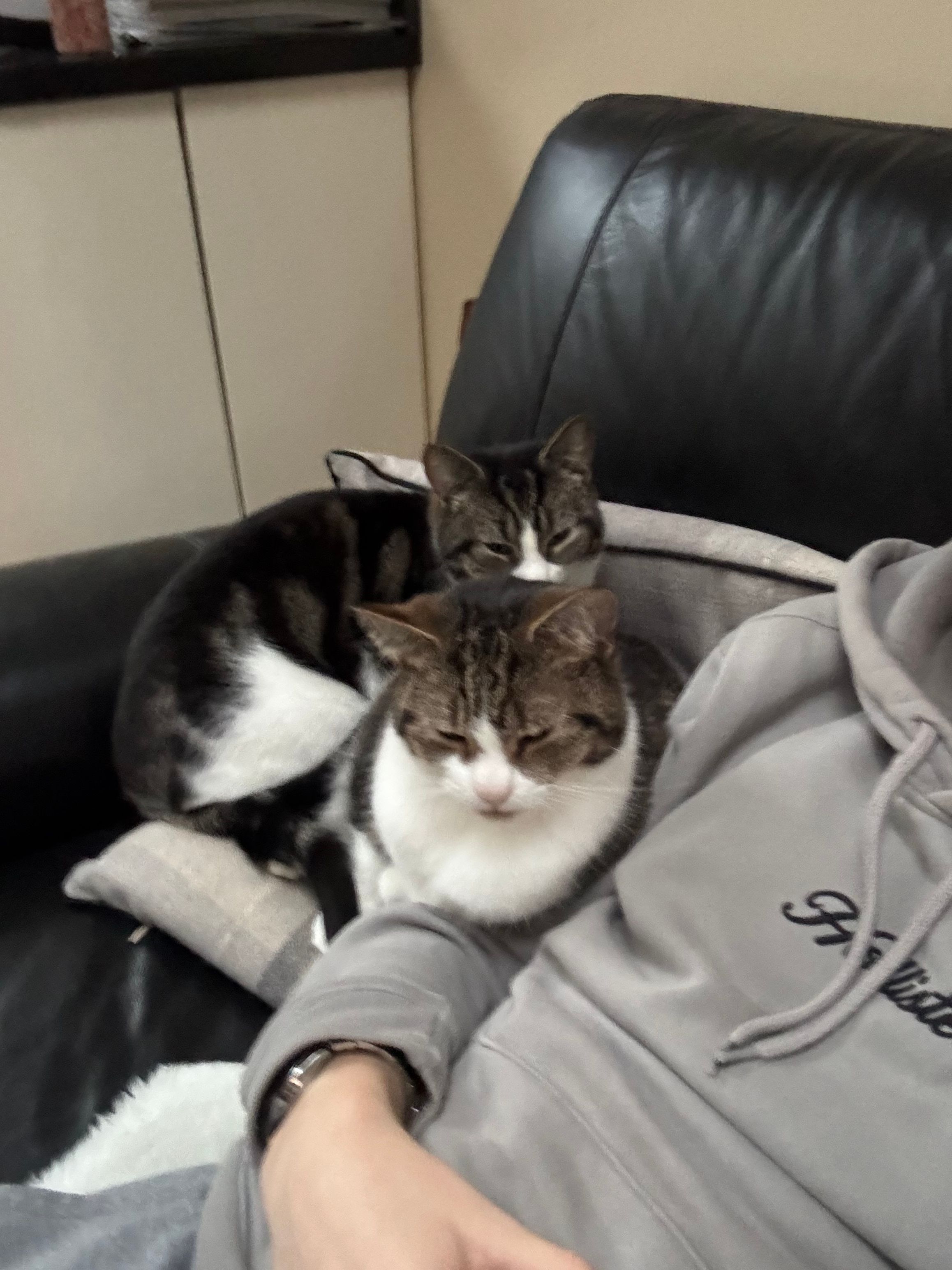 image-6