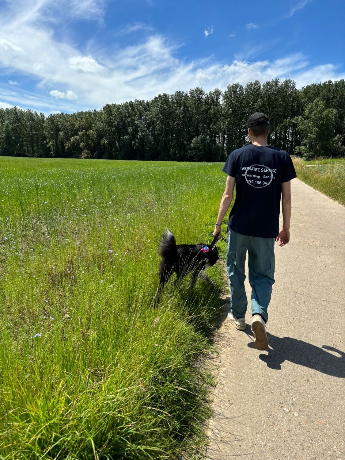 image-10