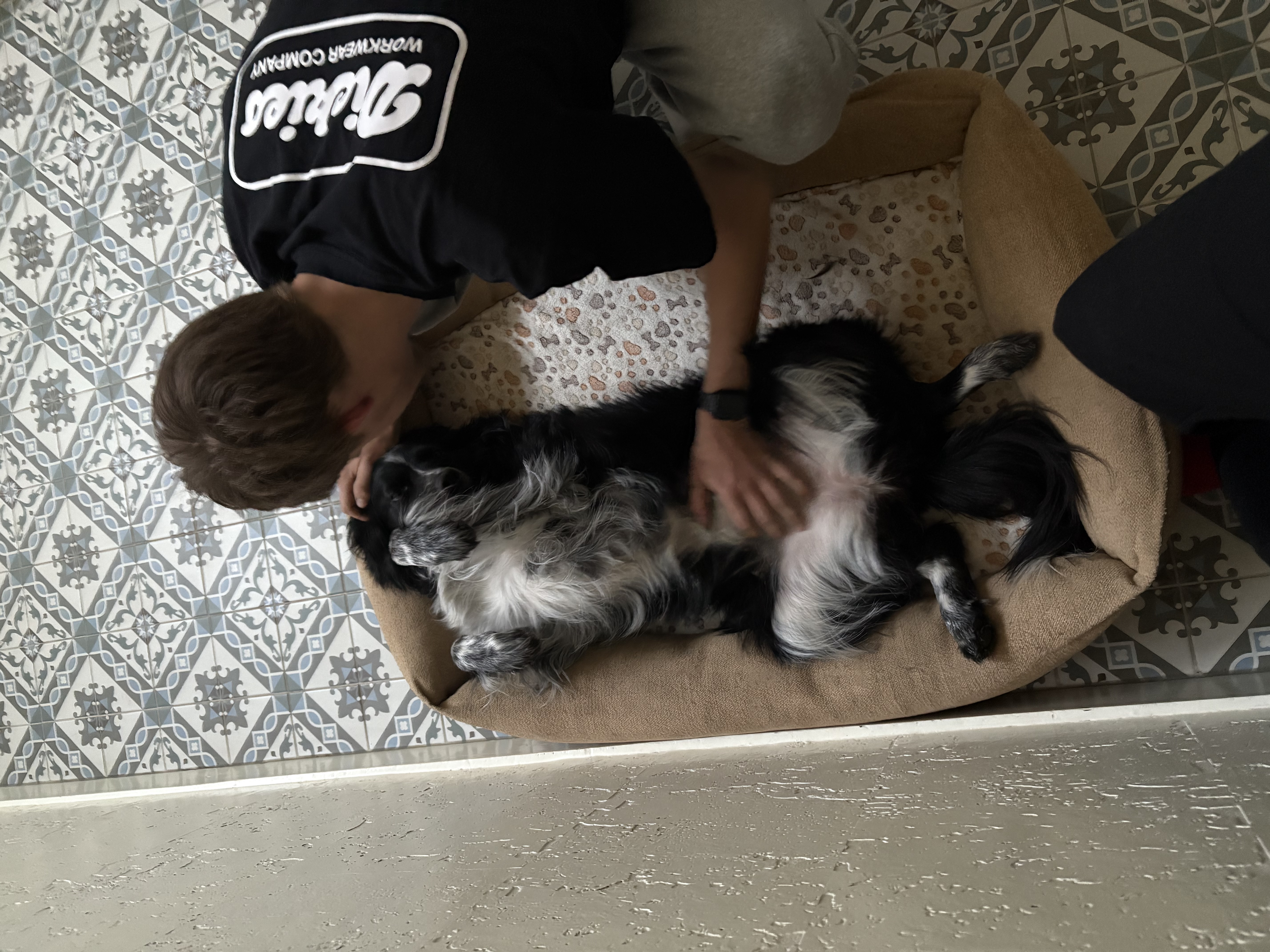 image-13