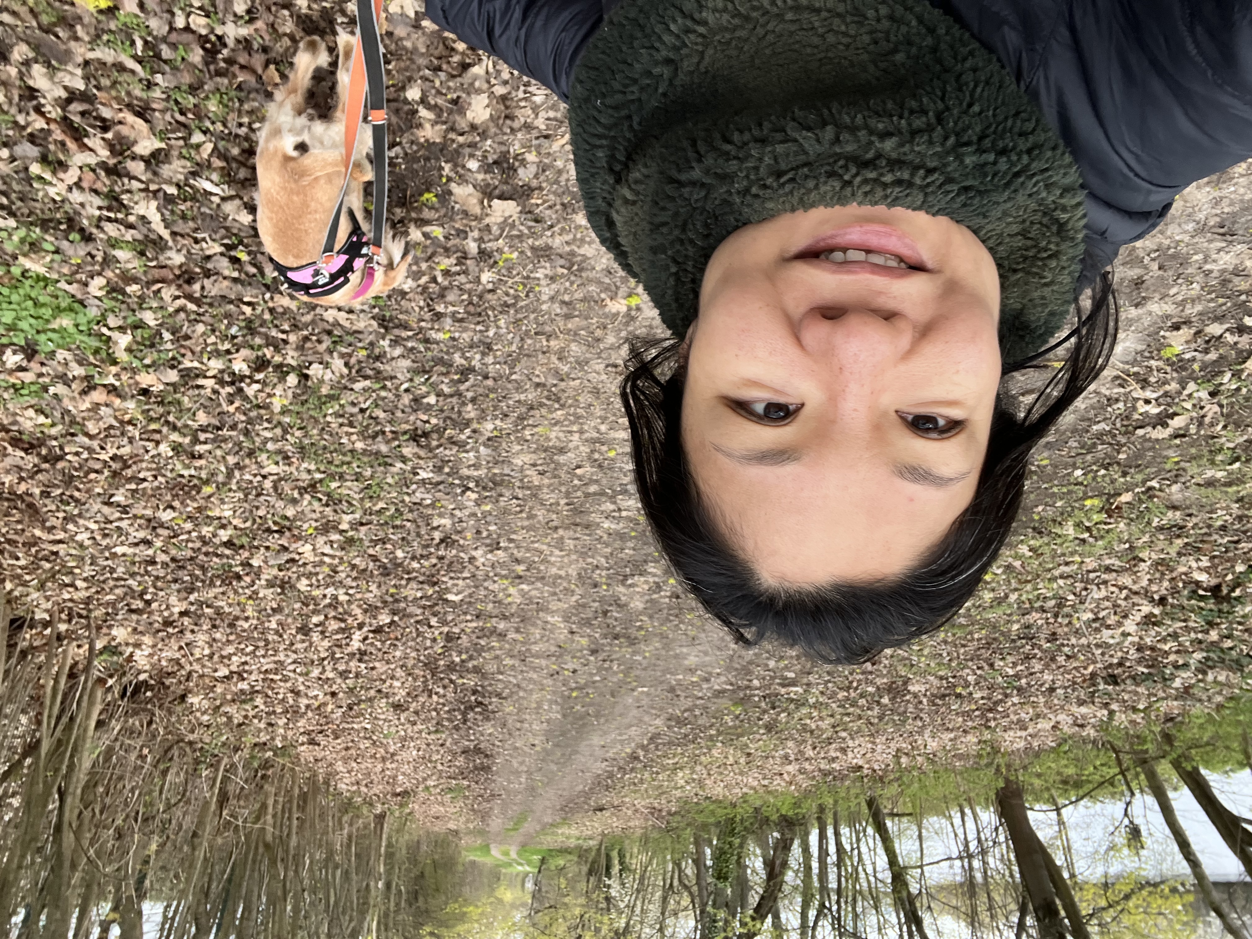 image-2