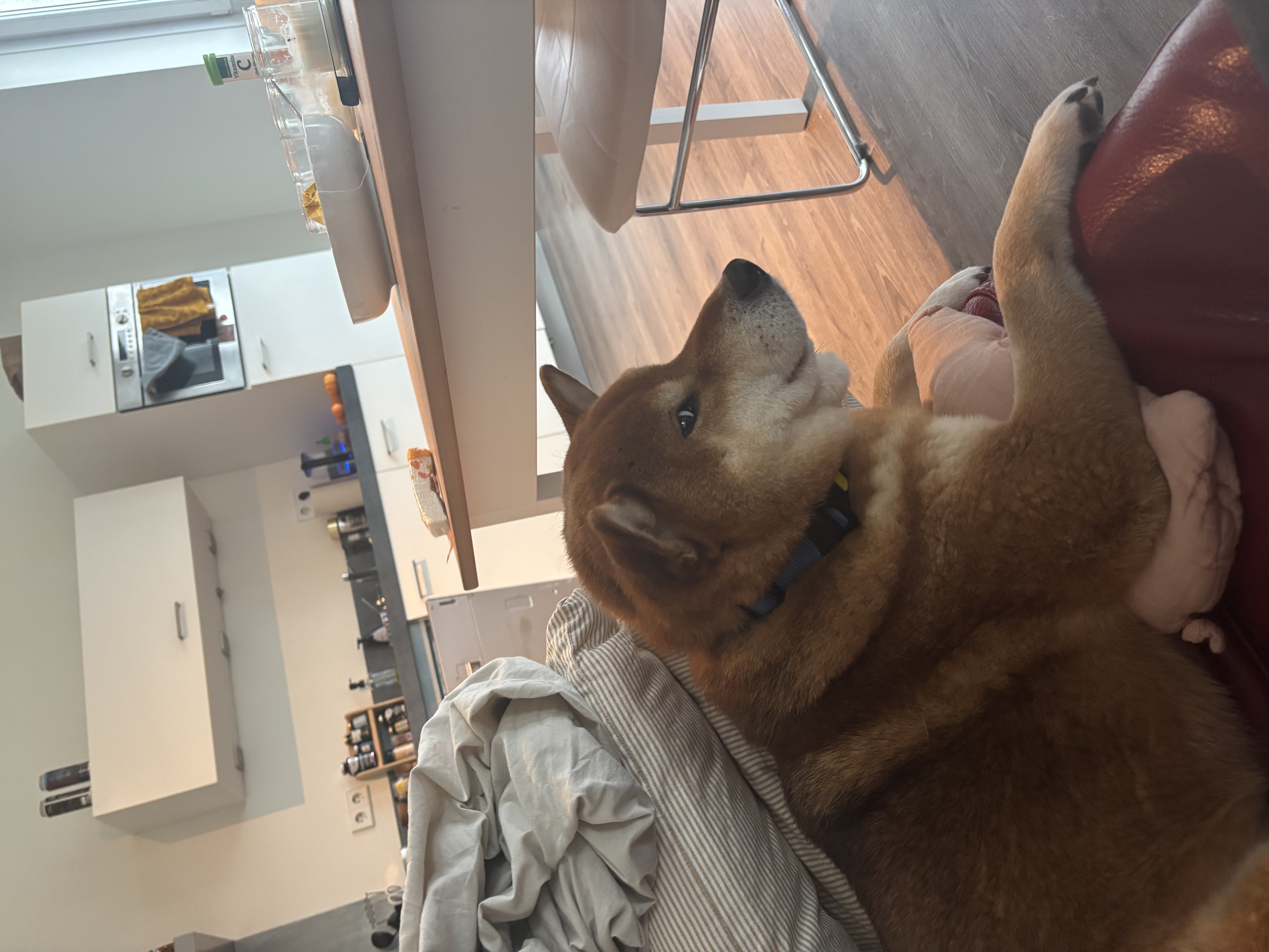 image-7