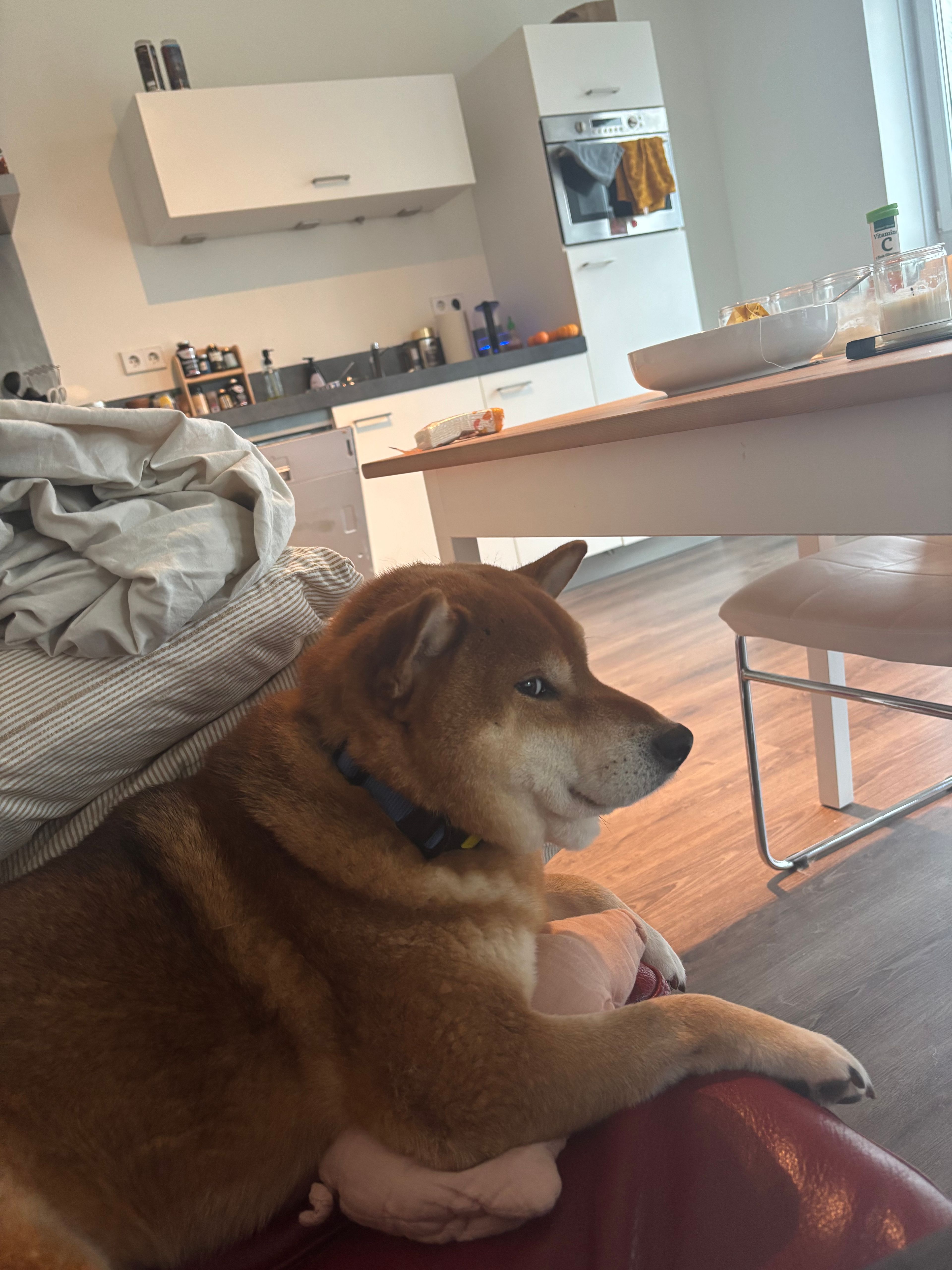 image-7