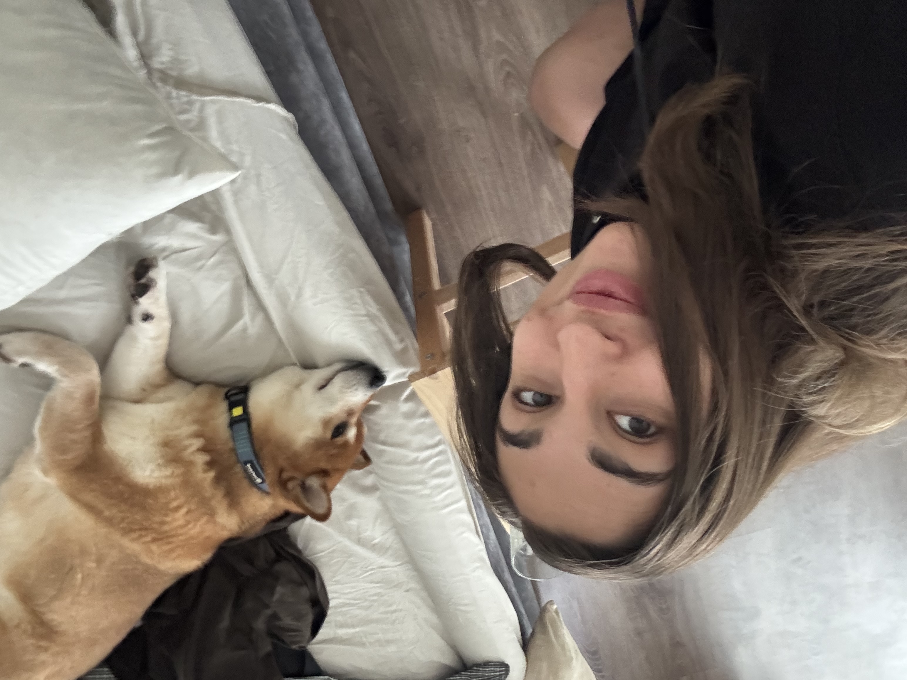 image-8