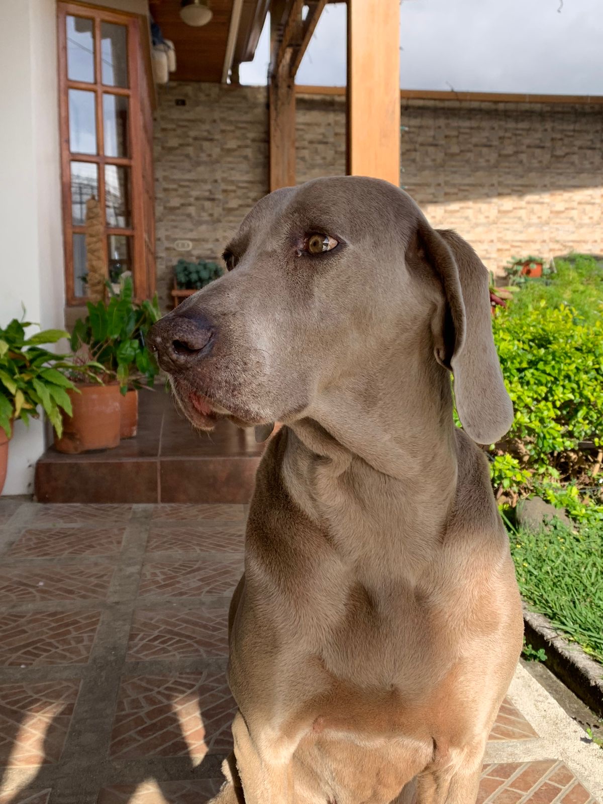 image-10