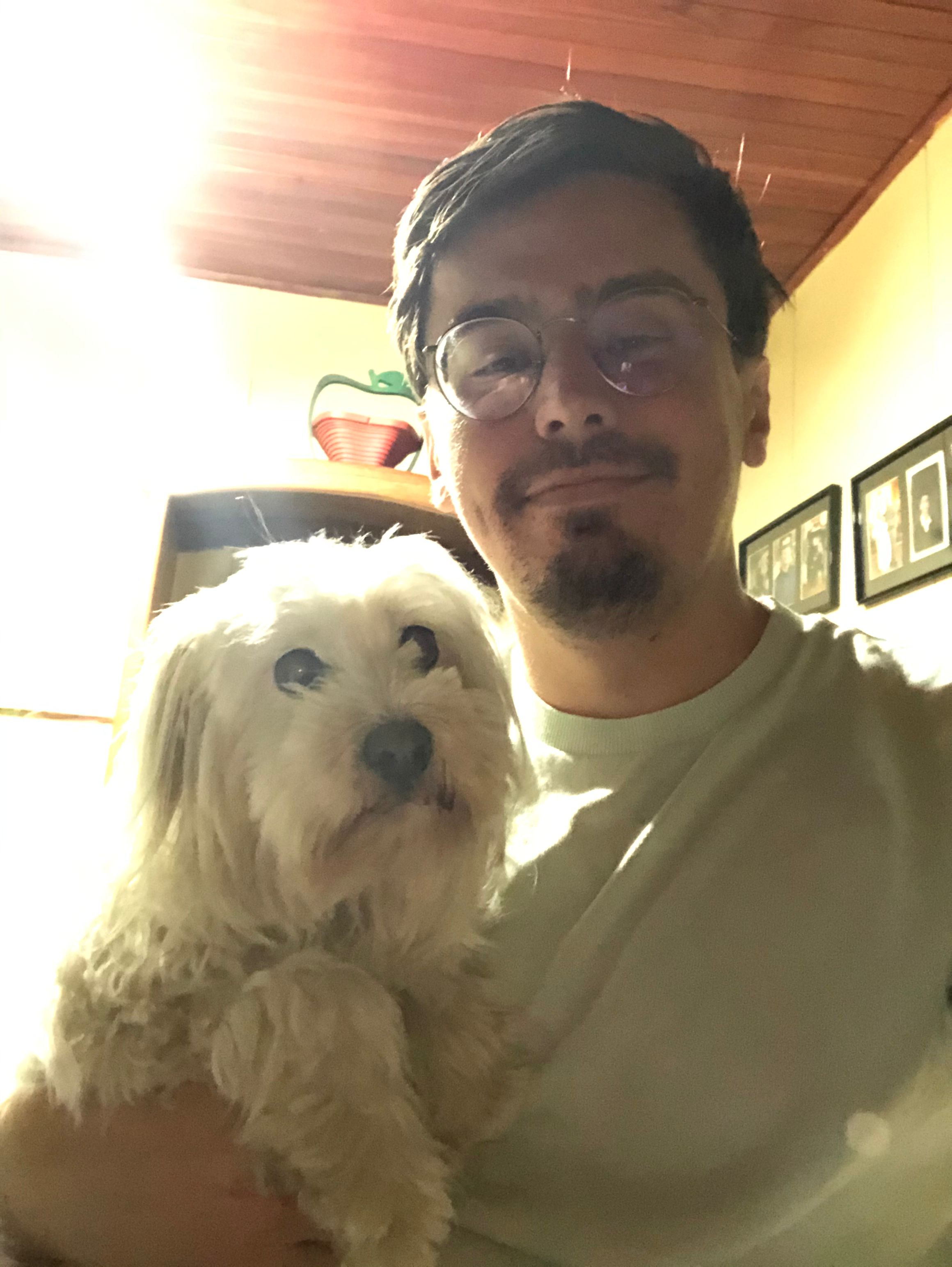 image-12