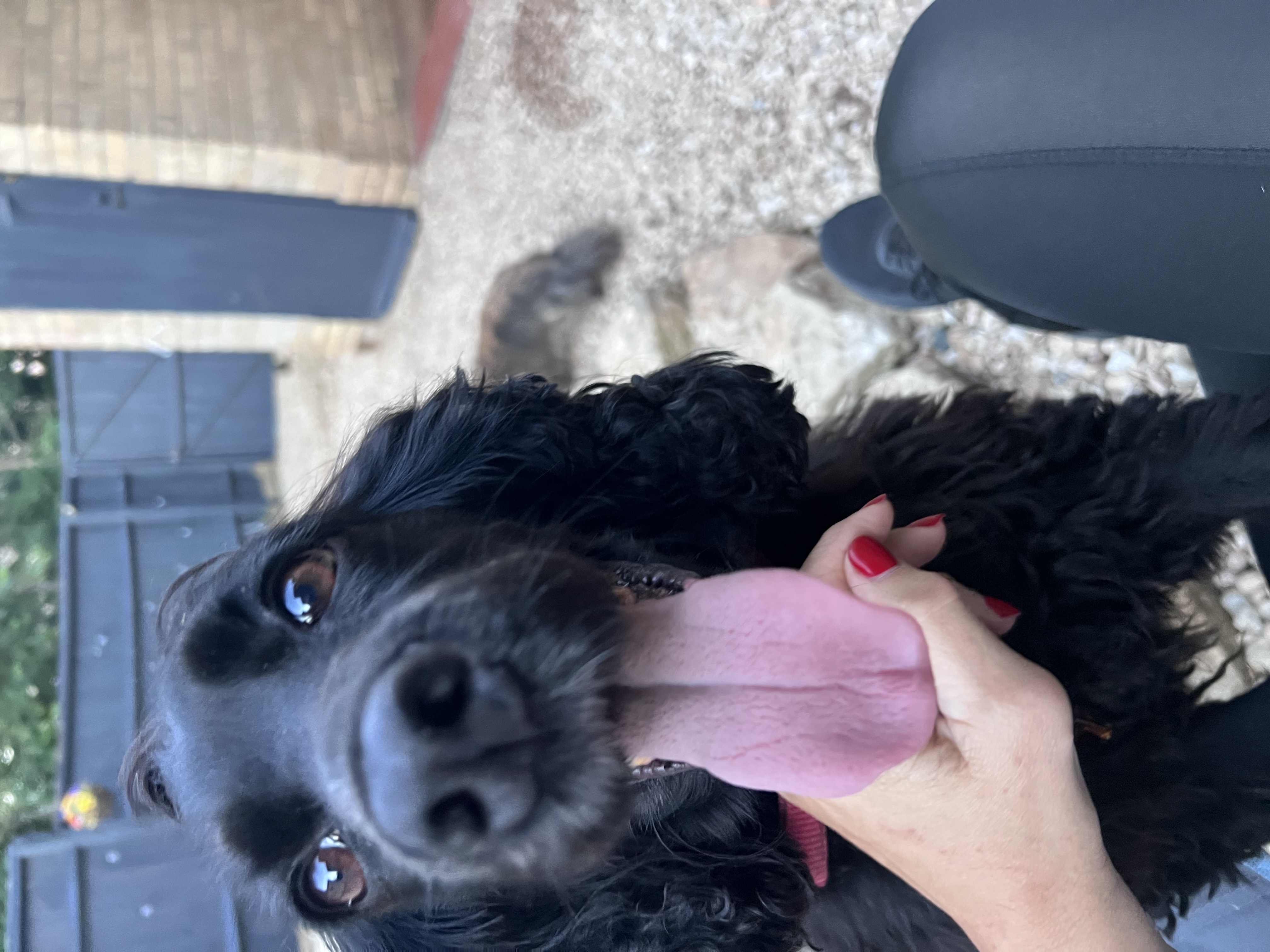 image-103