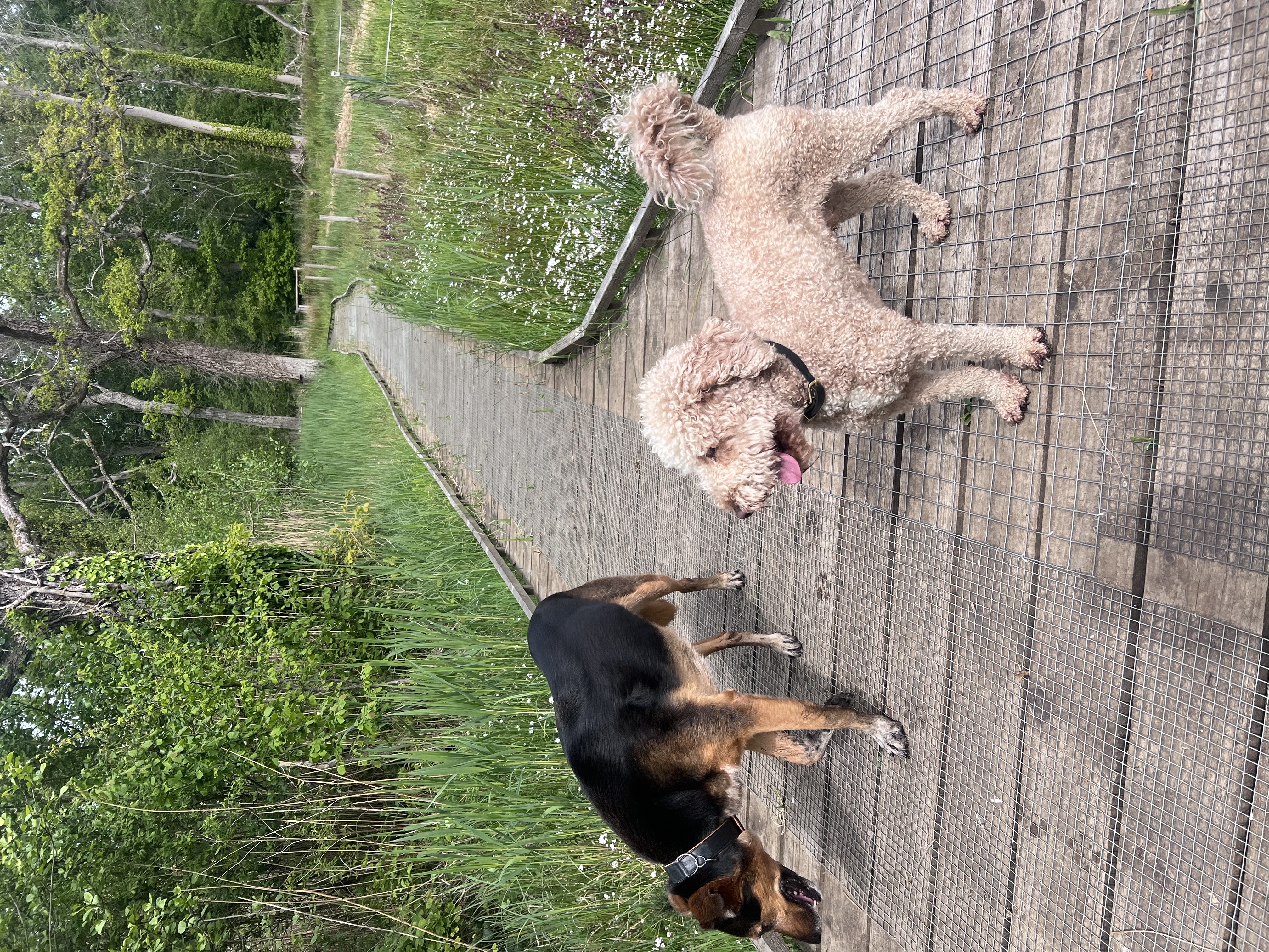 image-154