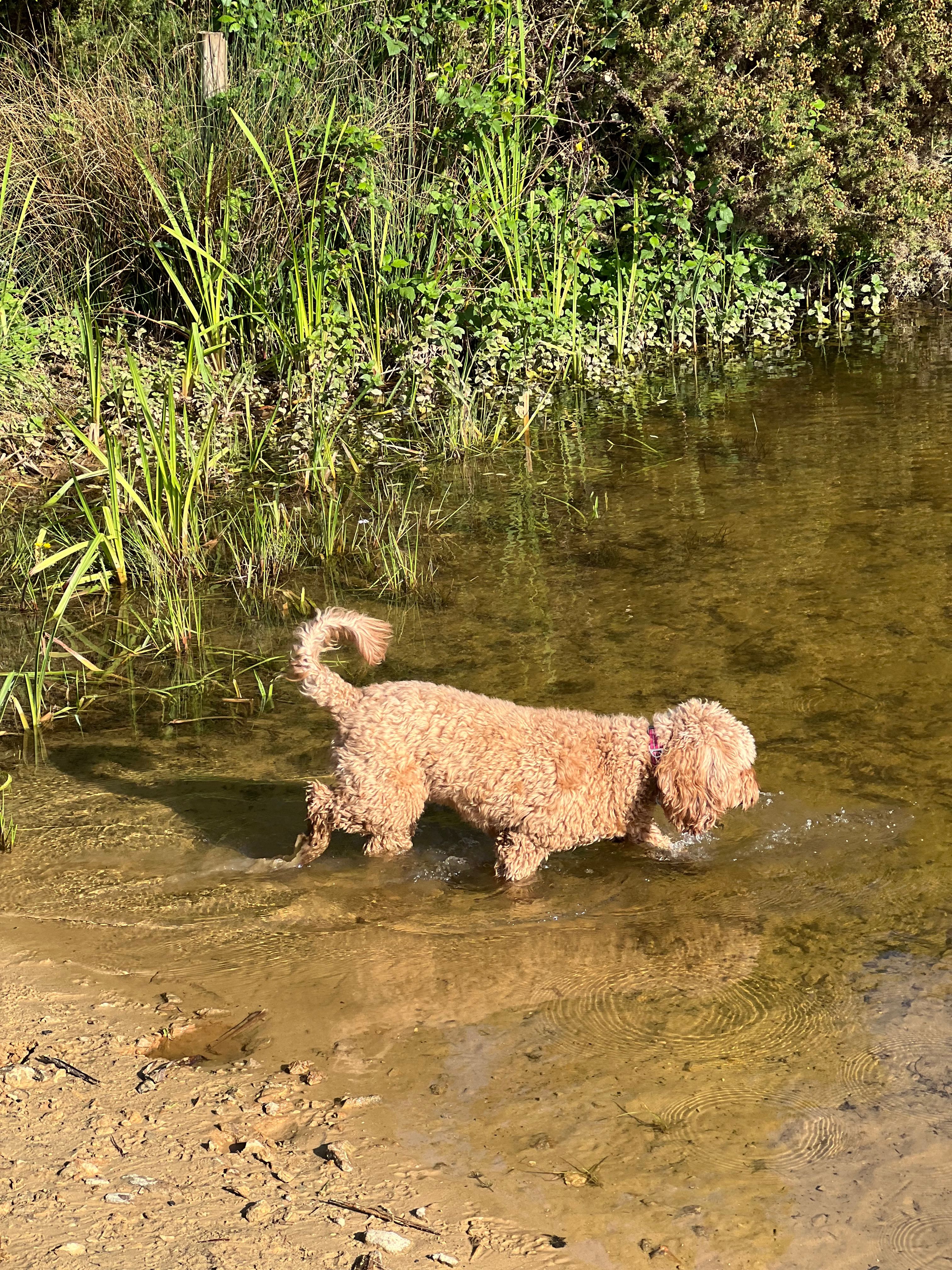 image-138