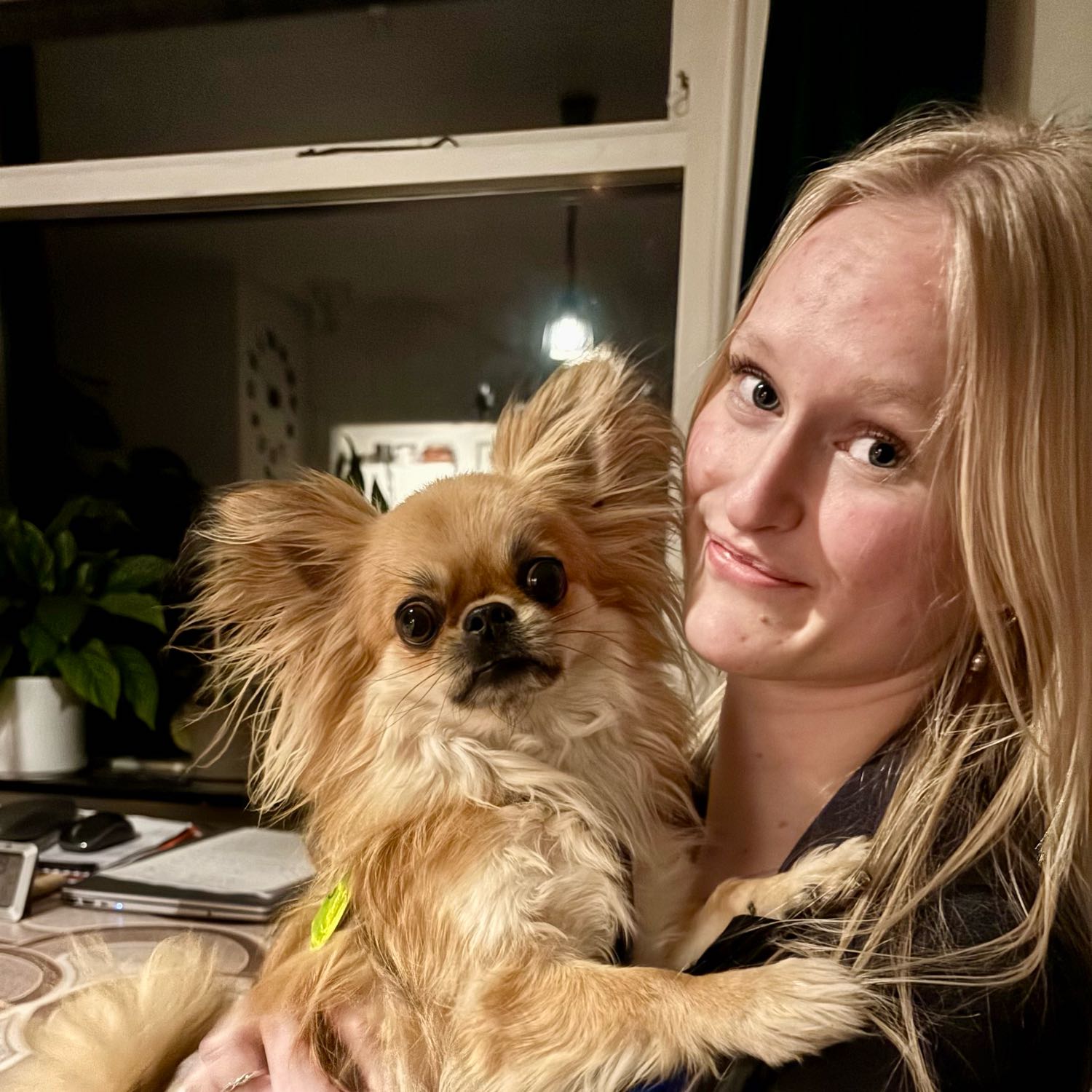 Siff Freja