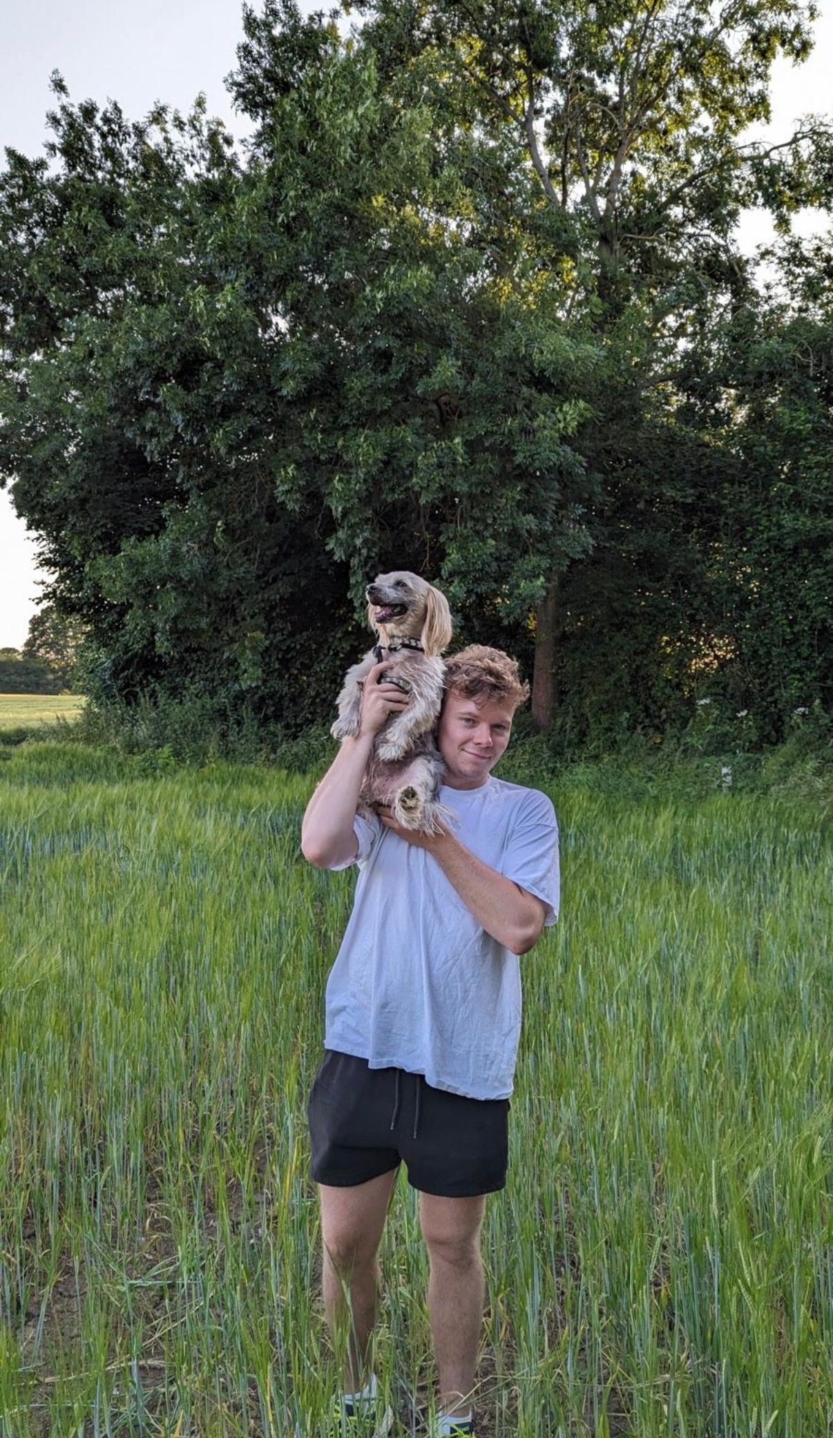 image-8