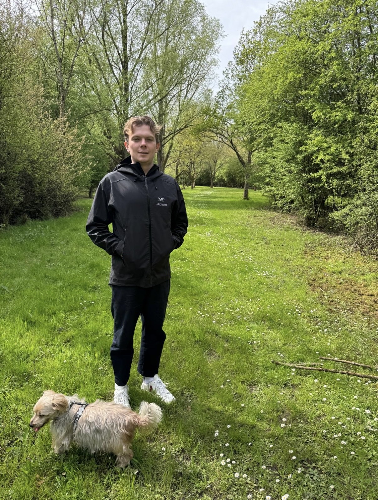 image-7