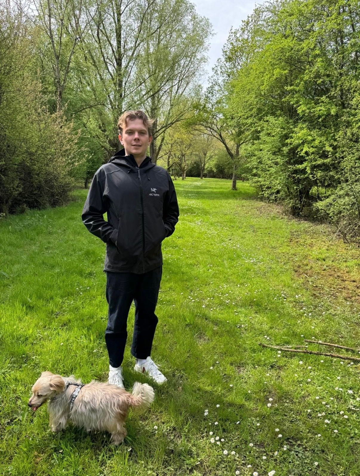 image-7