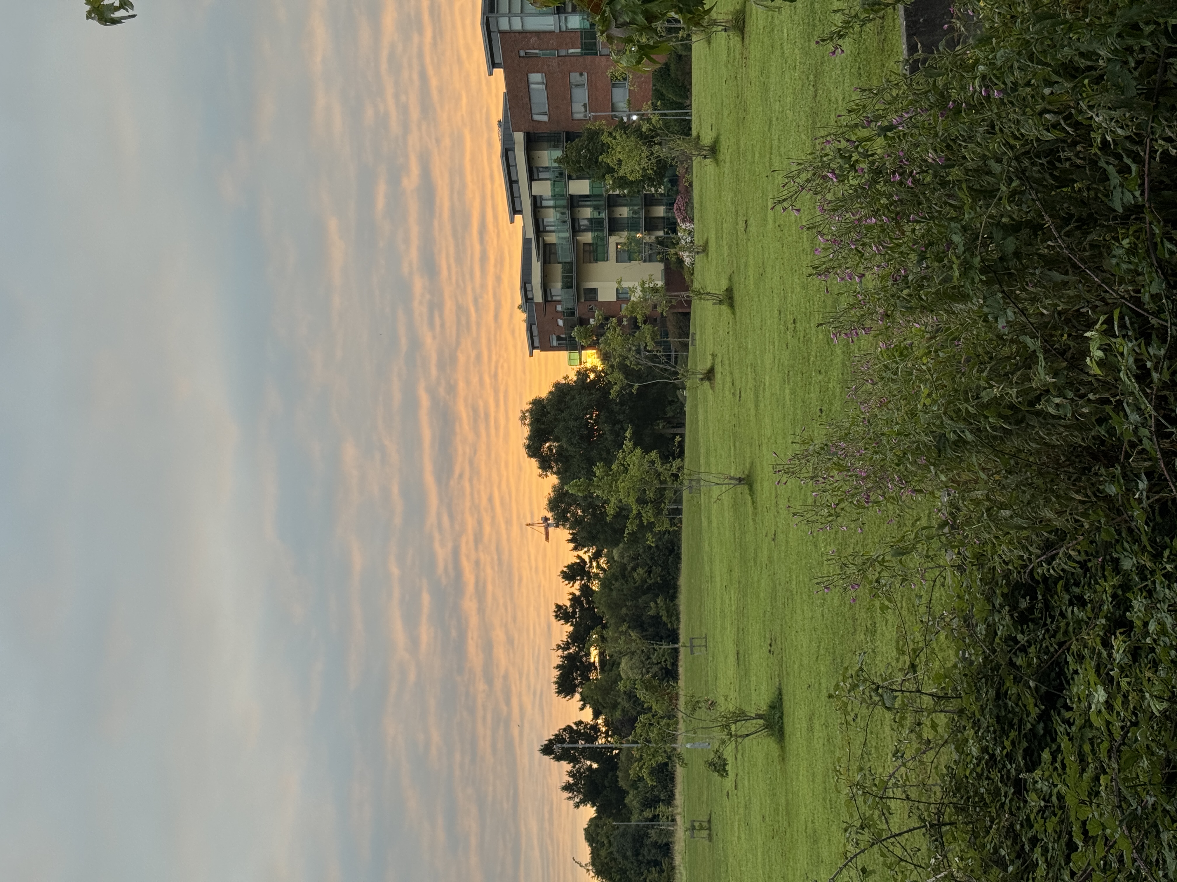 image-24
