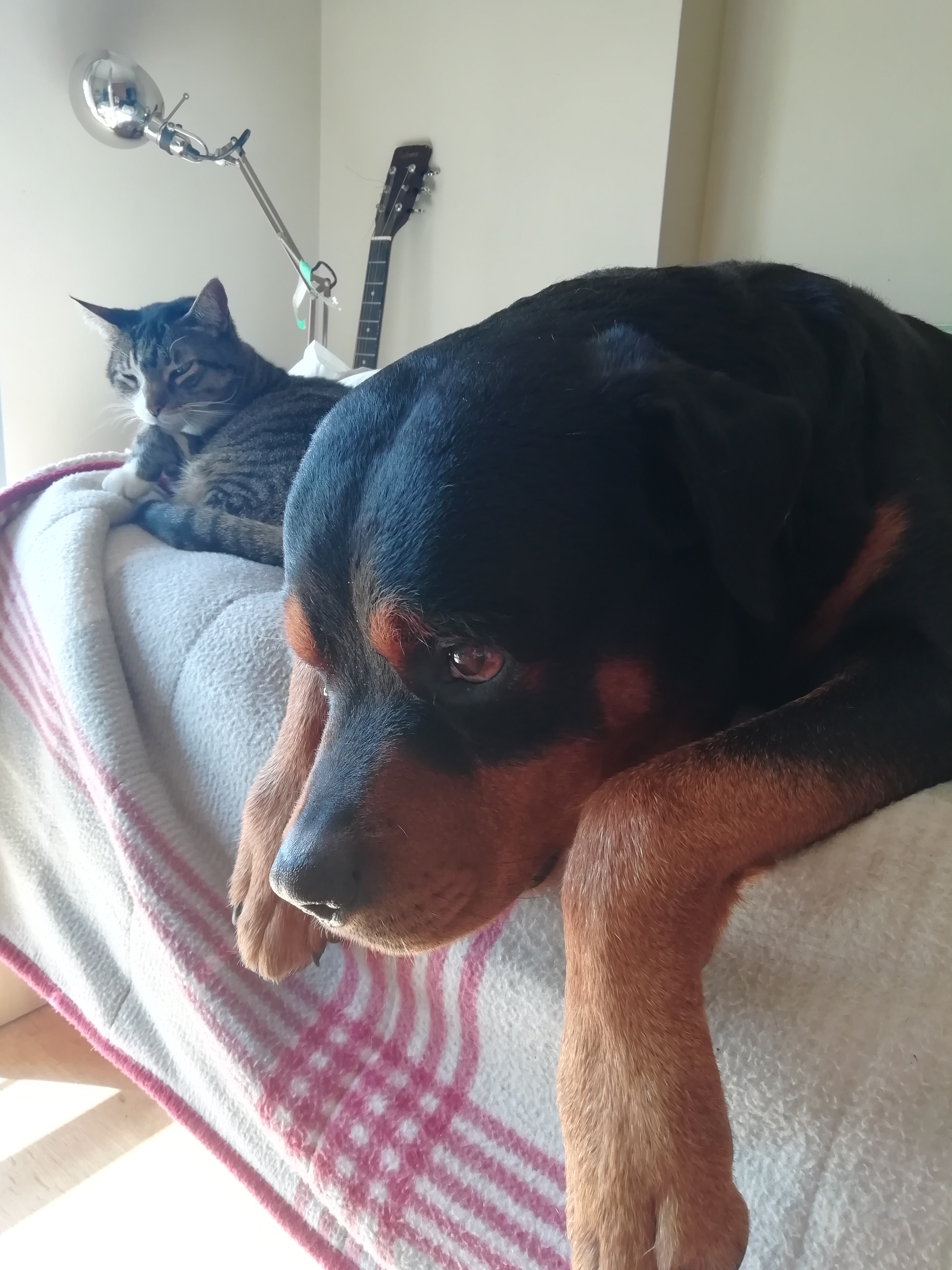 image-5