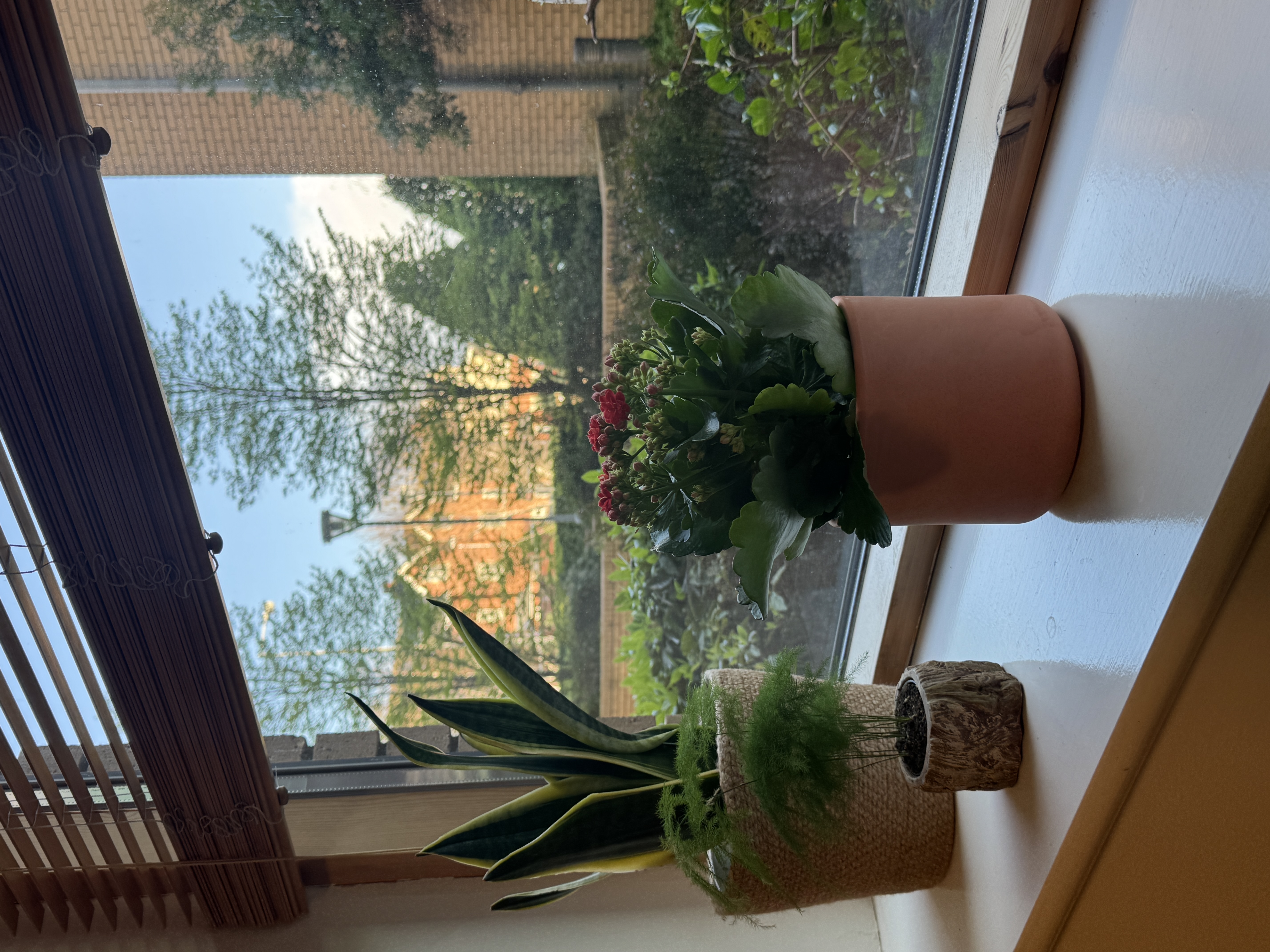 image-20