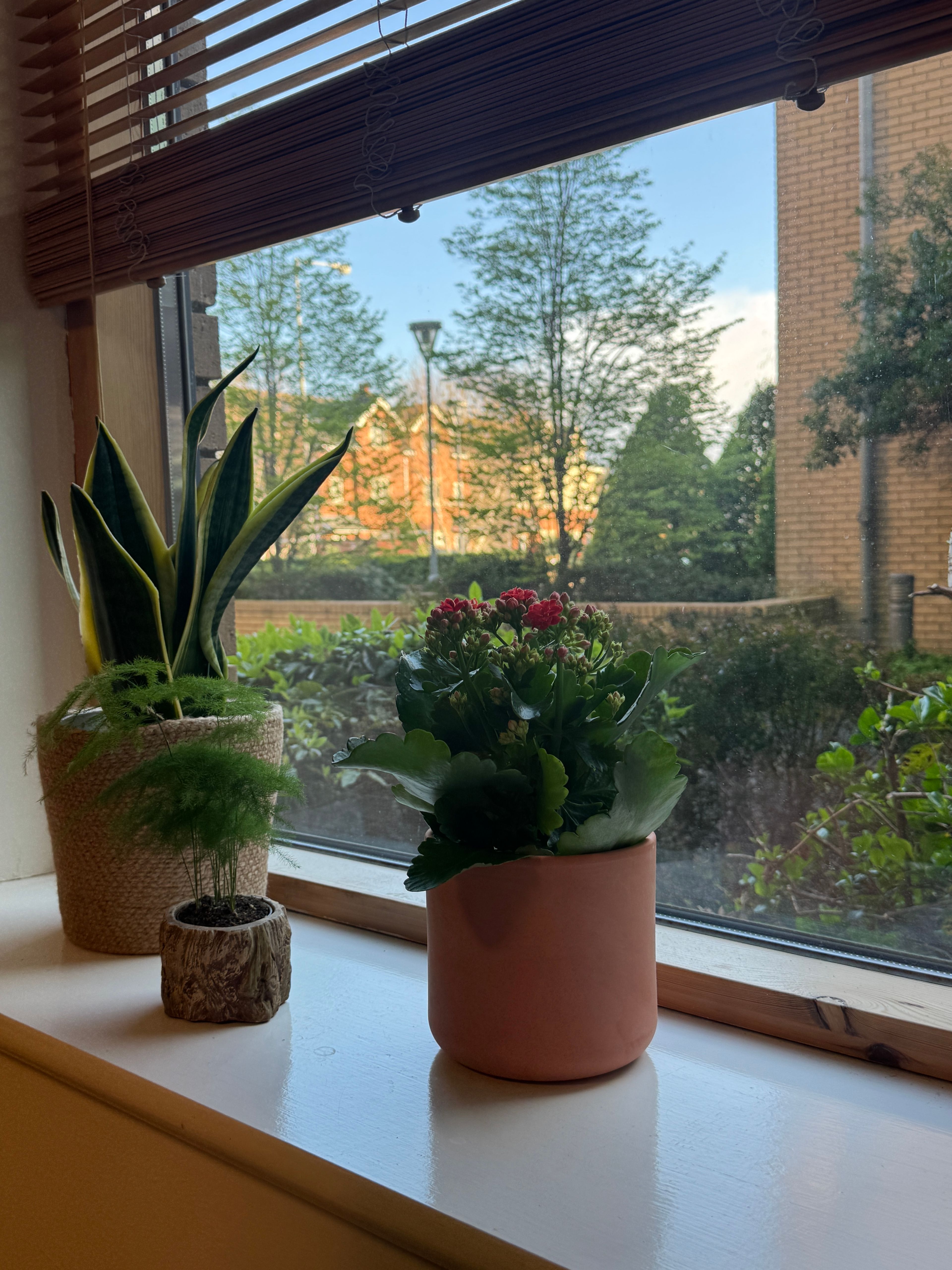 image-20