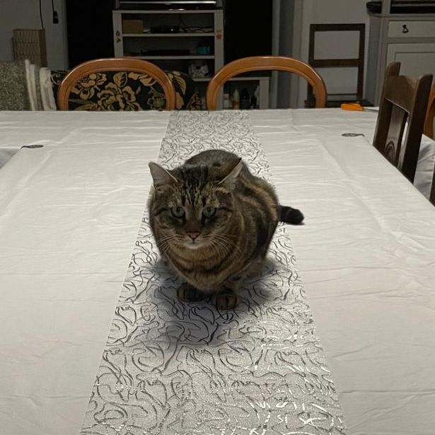 Muki